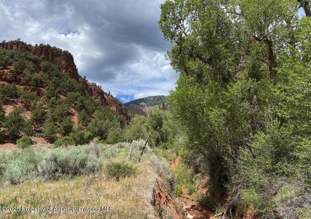 1200 Frying Pan Road Basalt CO 81621