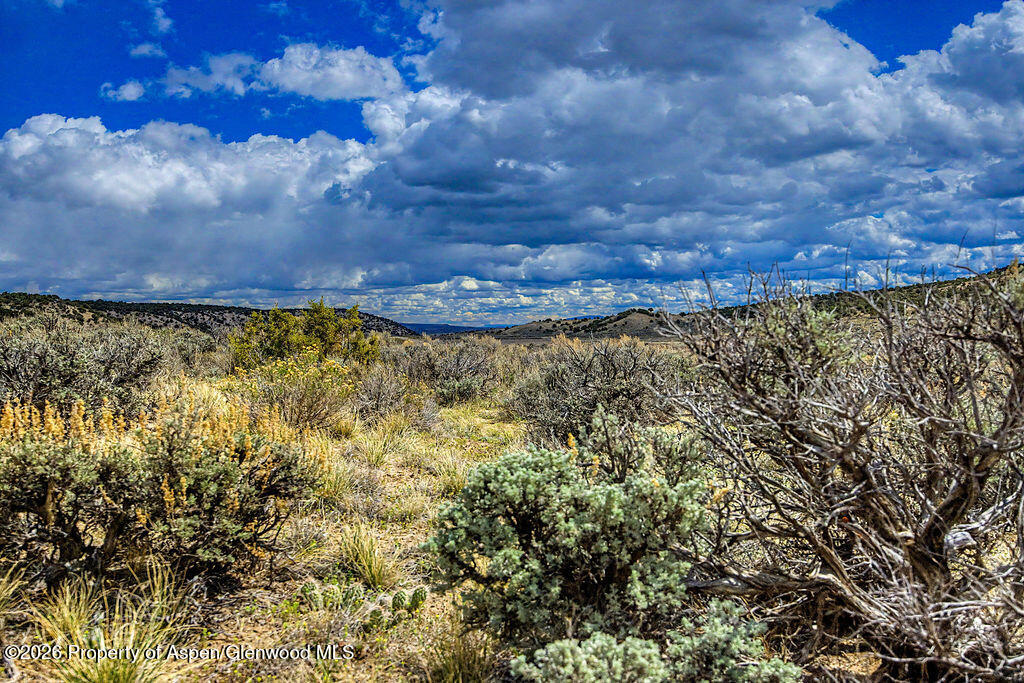 37801 Highway 318 Craig CO 81625