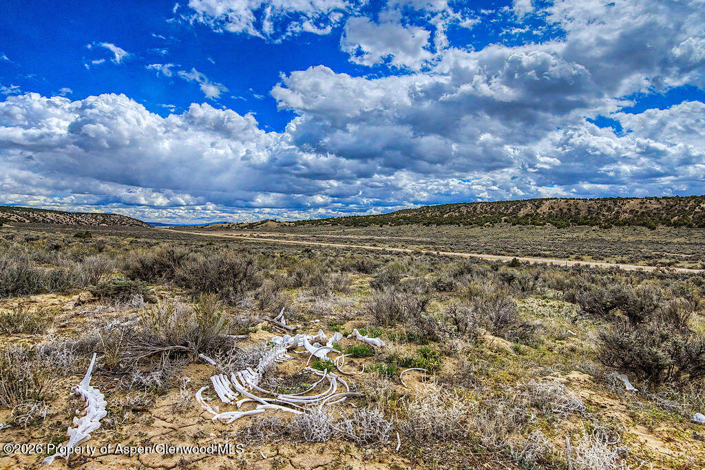 37801 Highway 318 Craig CO 81625