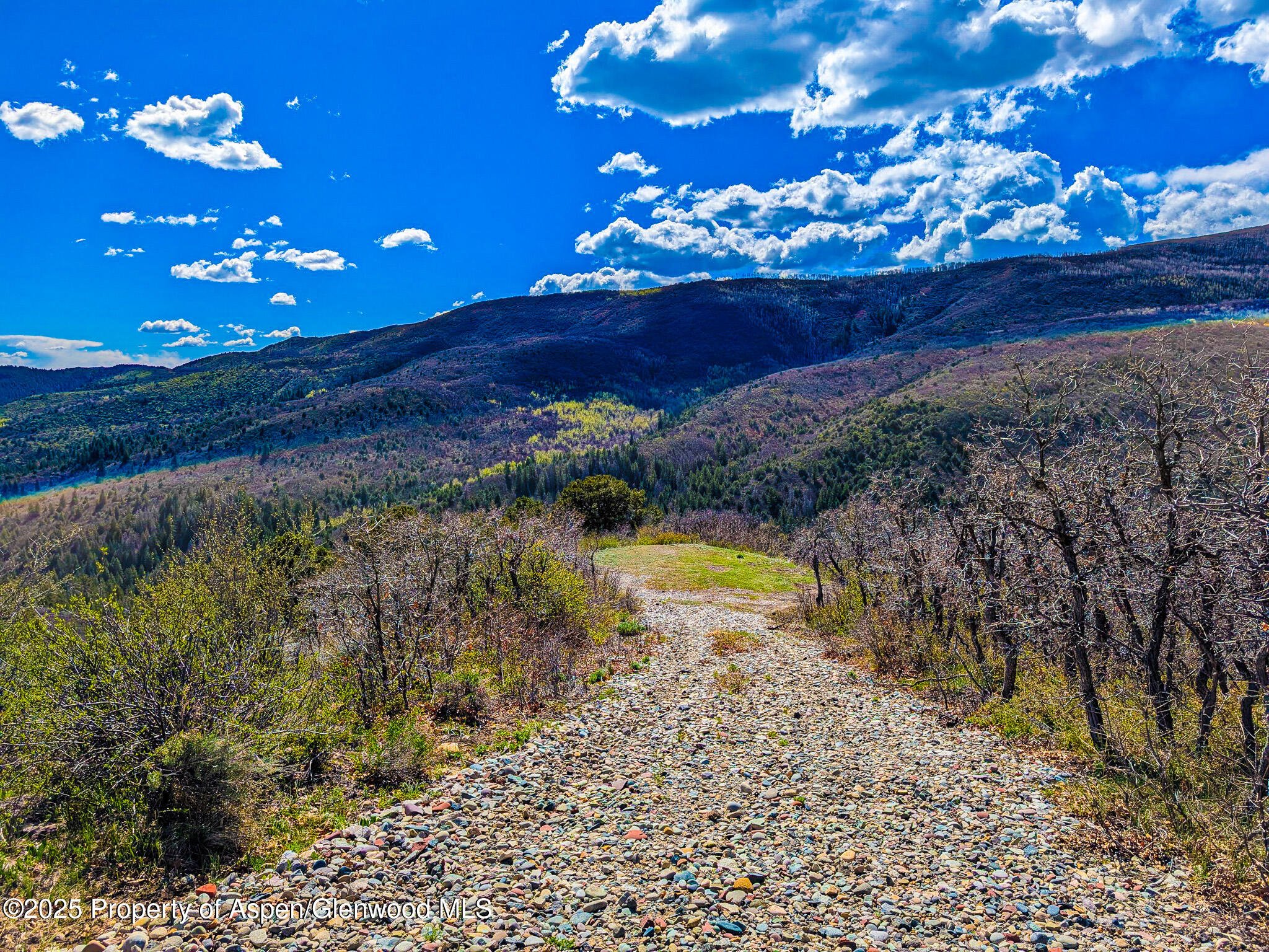 Tbd Tbd New Castle CO 81647