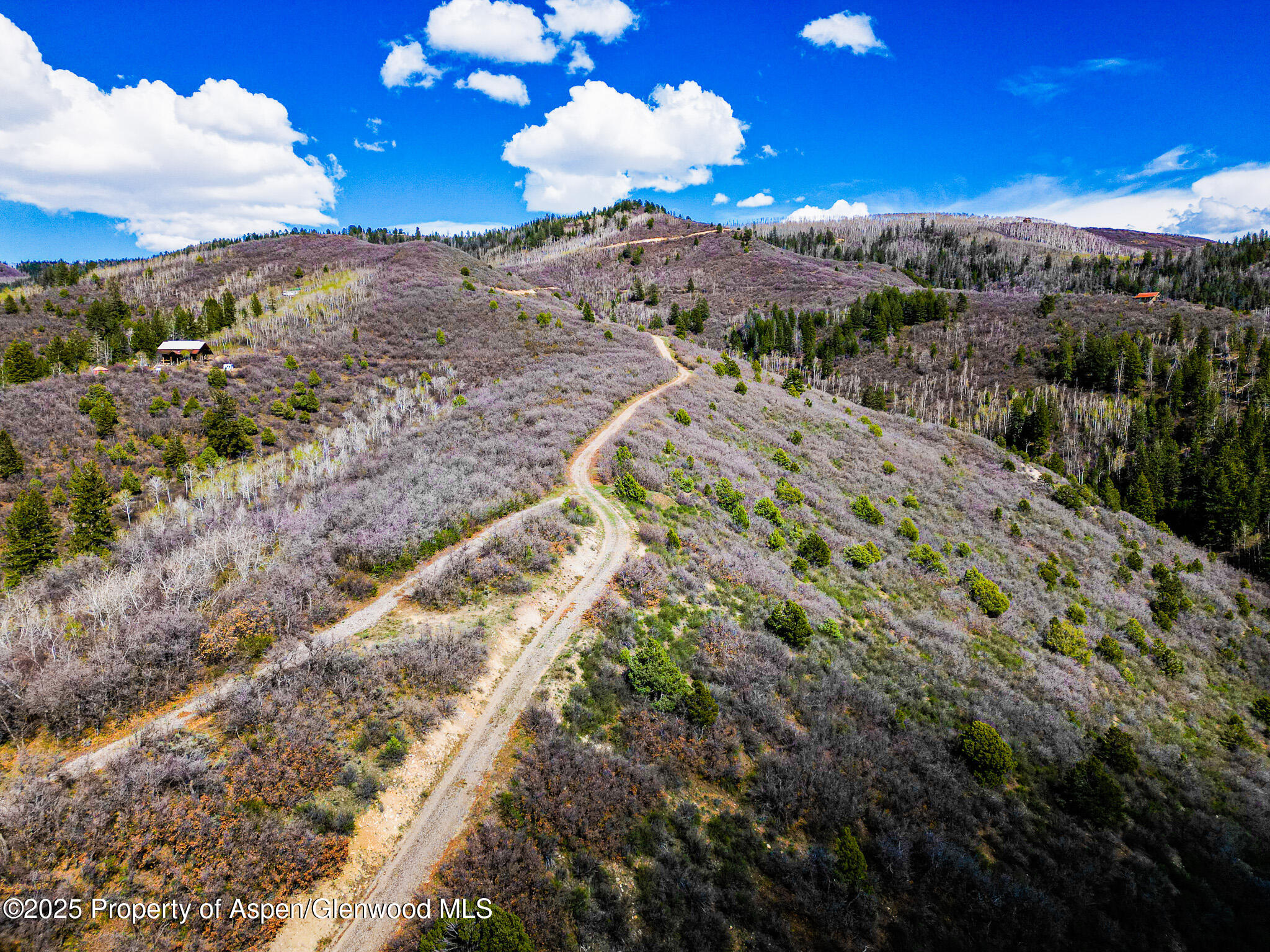 Tbd Tbd New Castle CO 81647