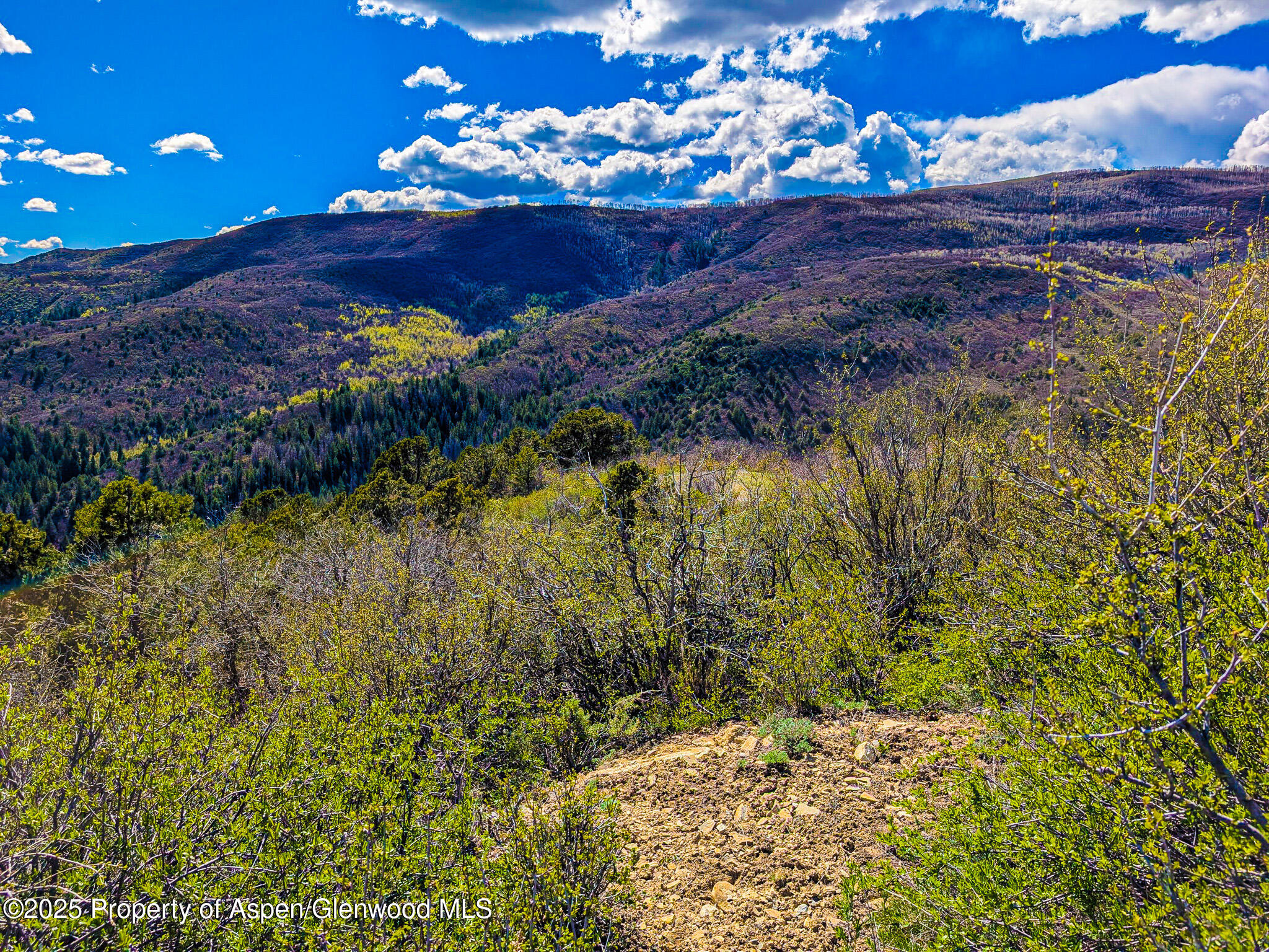 Tbd Tbd New Castle CO 81647