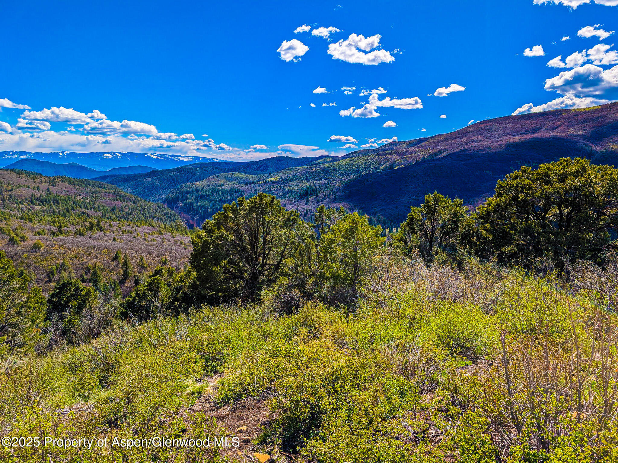 Tbd Tbd New Castle CO 81647