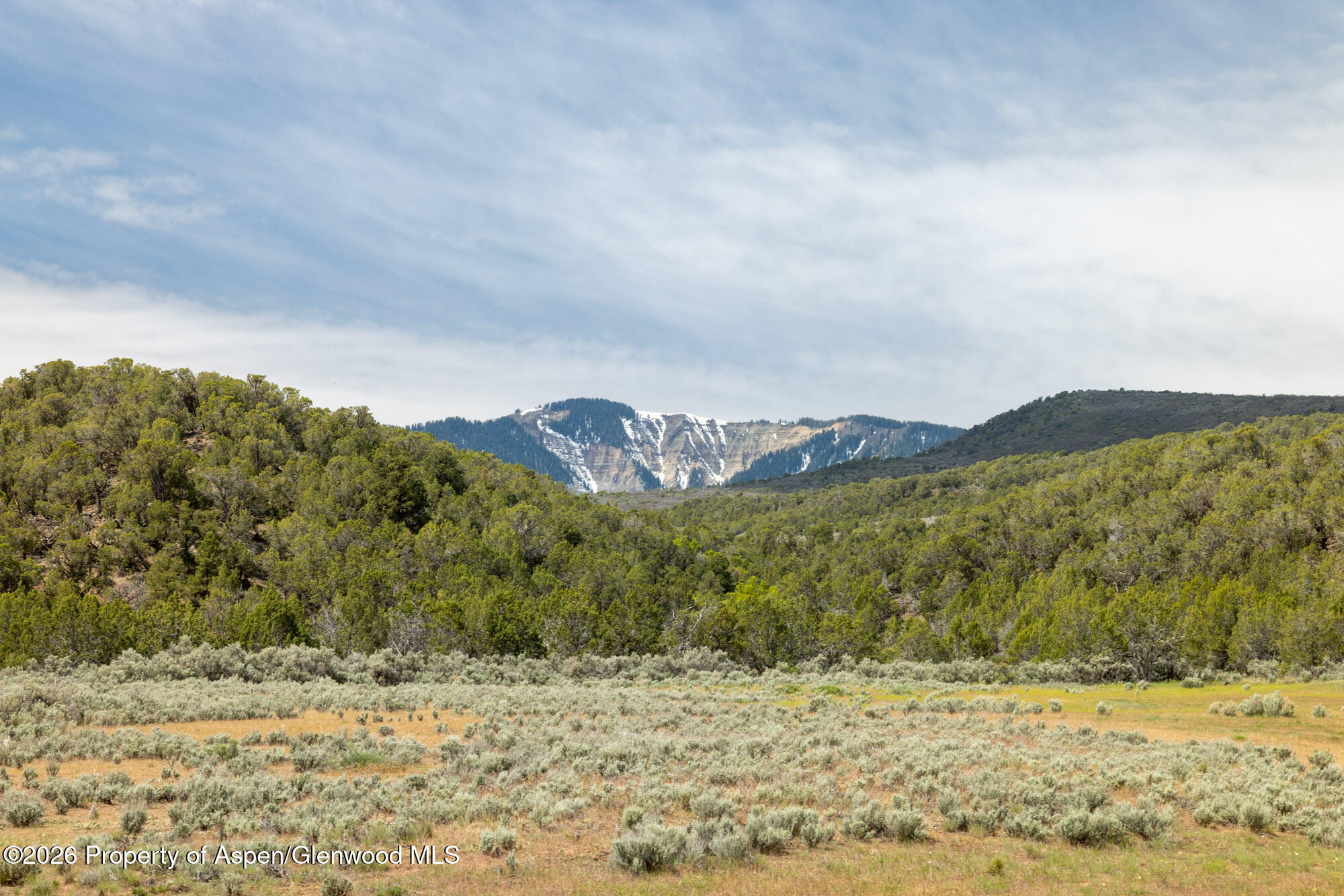 Tbd N Cedar Springs Ranch Road Rifle CO 81650