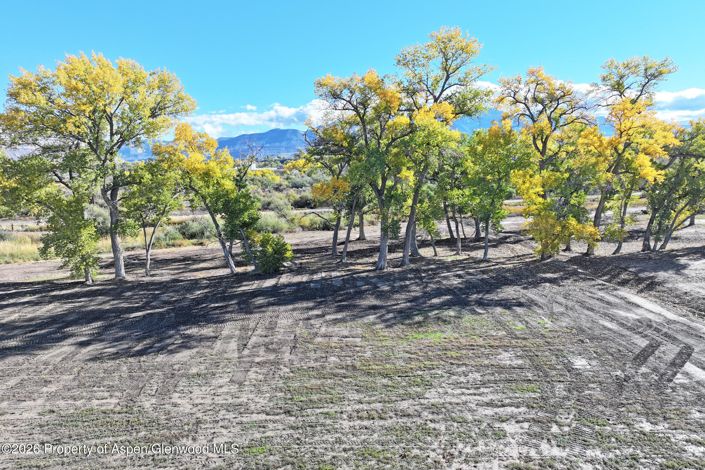 498 33 1/2 Road Clifton CO 81520