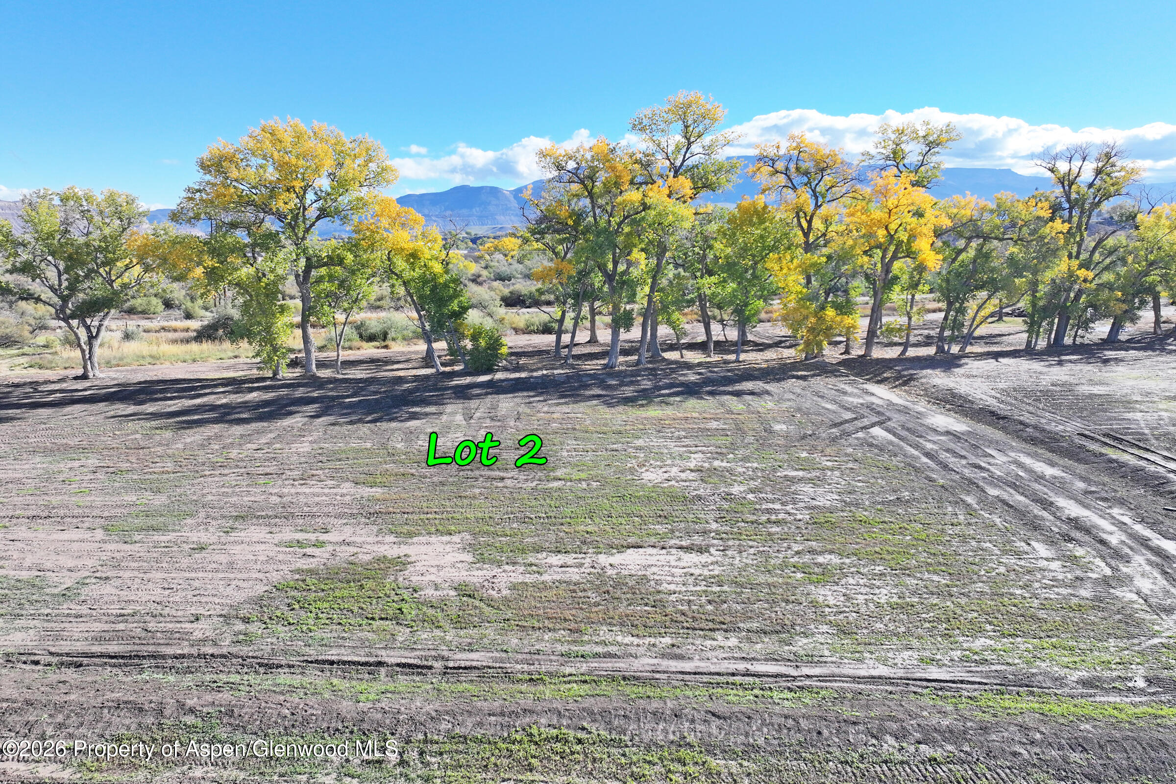 498 33 1/2 Road Clifton CO 81520
