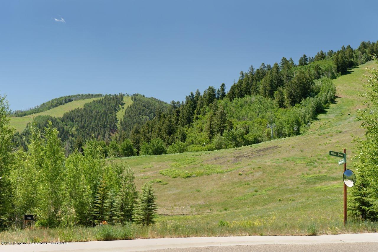 16 S Willow Court Aspen CO 81611