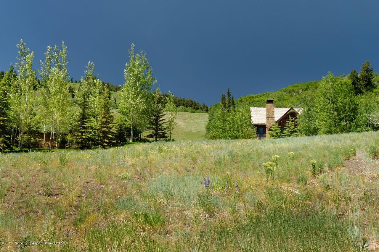 16 S Willow Court Aspen CO 81611