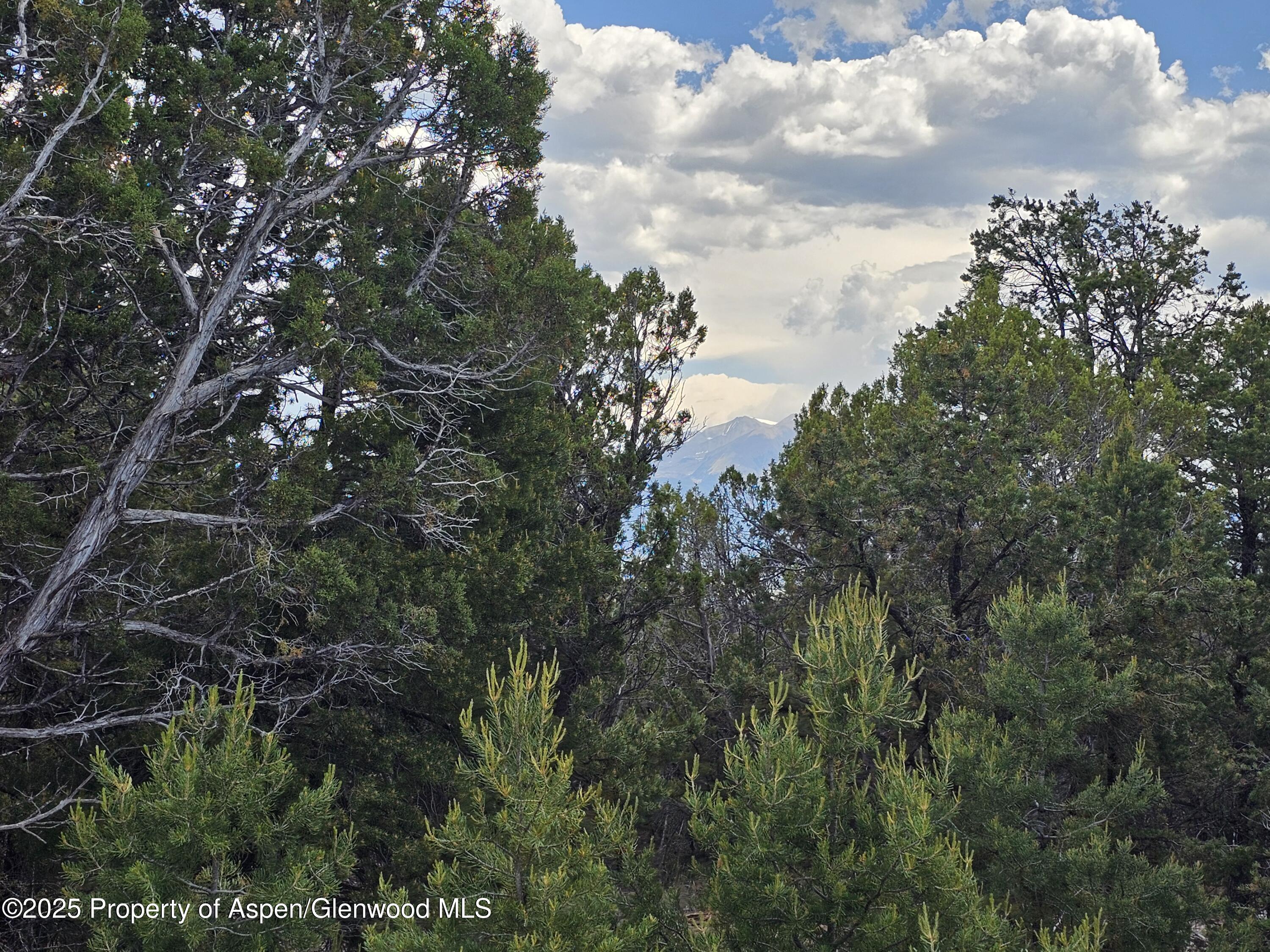 3221 Elk Springs Drive Glenwood Springs CO 81601