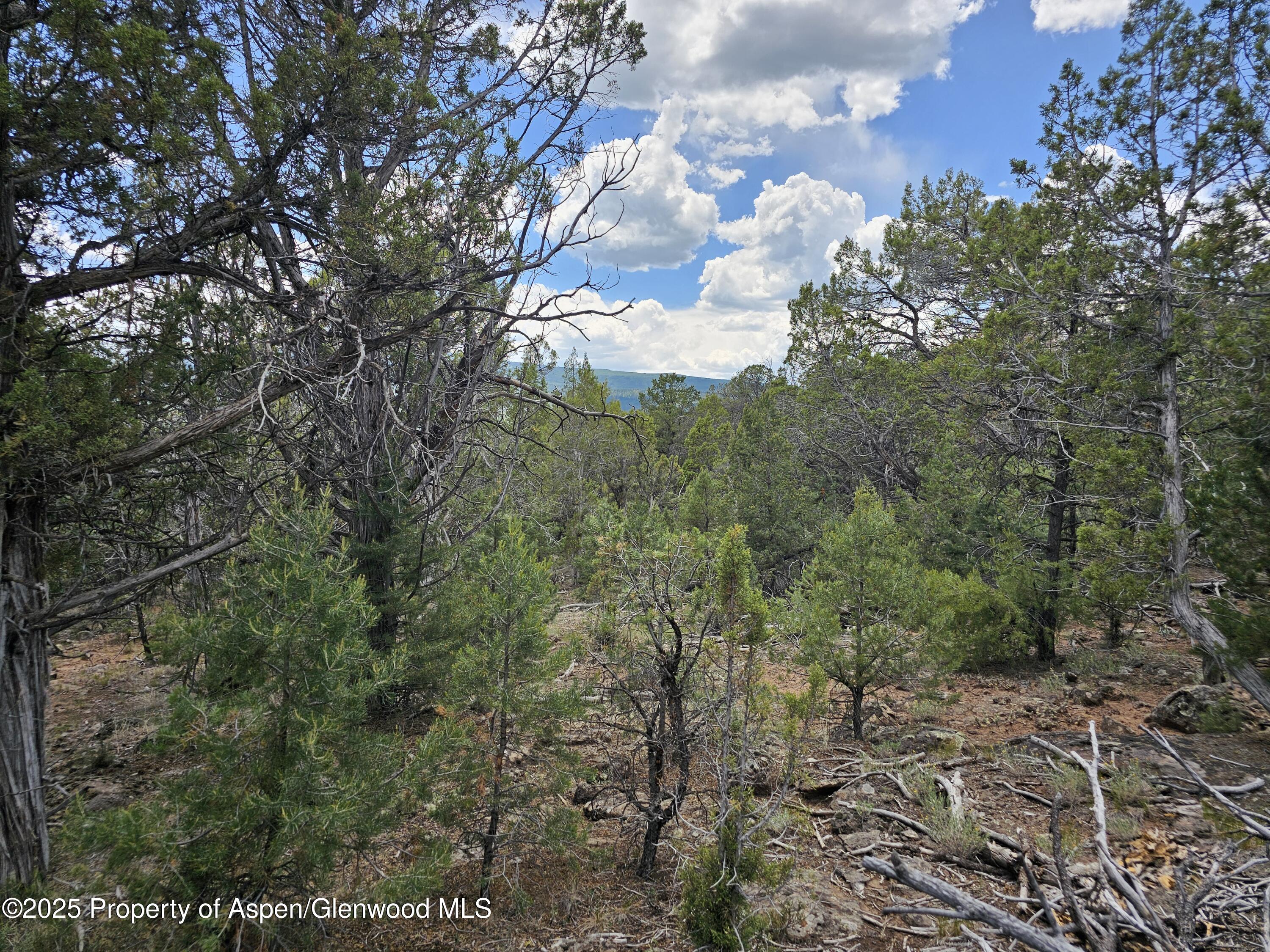 3221 Elk Springs Drive Glenwood Springs CO 81601