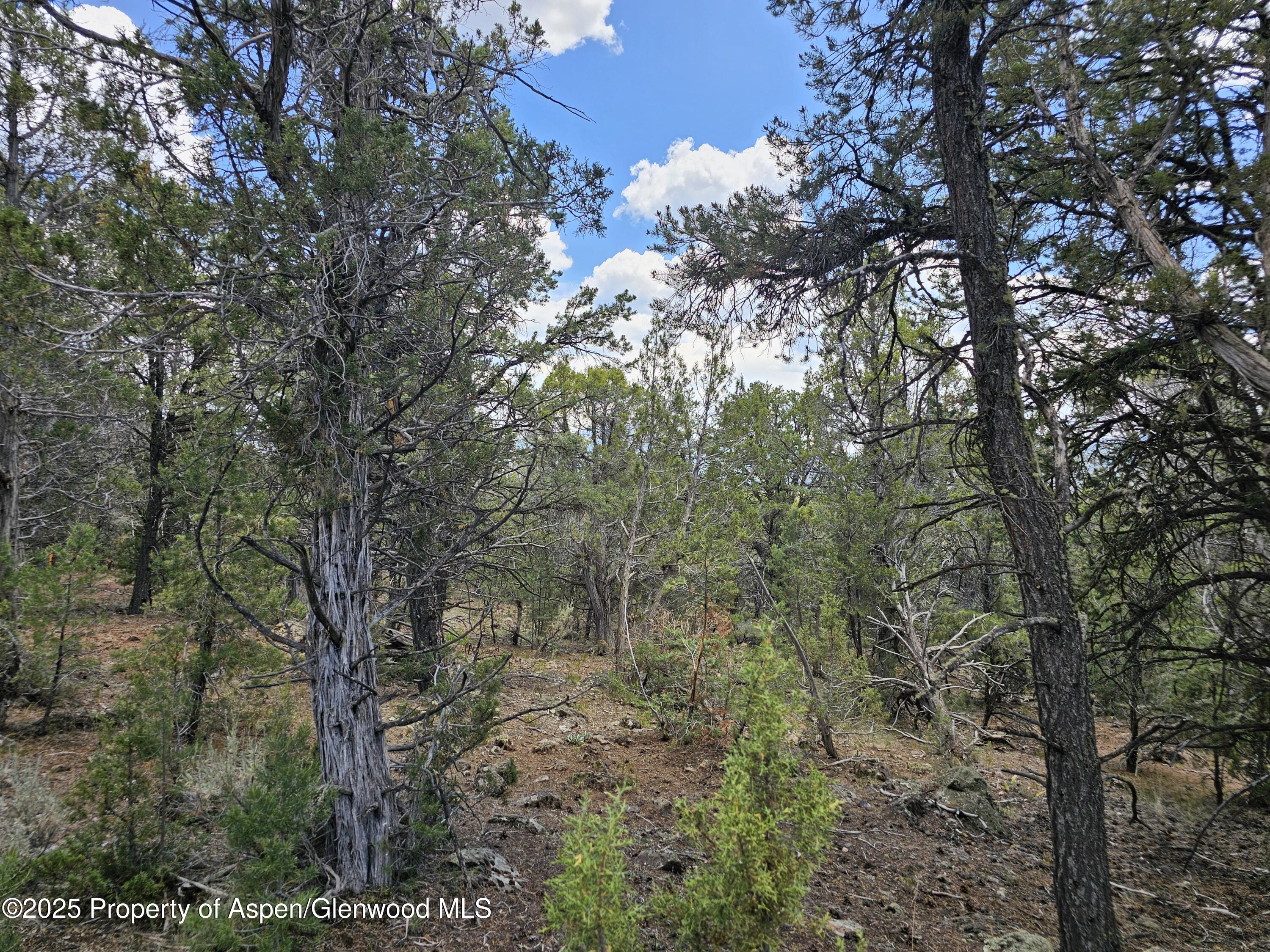 3221 Elk Springs Drive Glenwood Springs CO 81601