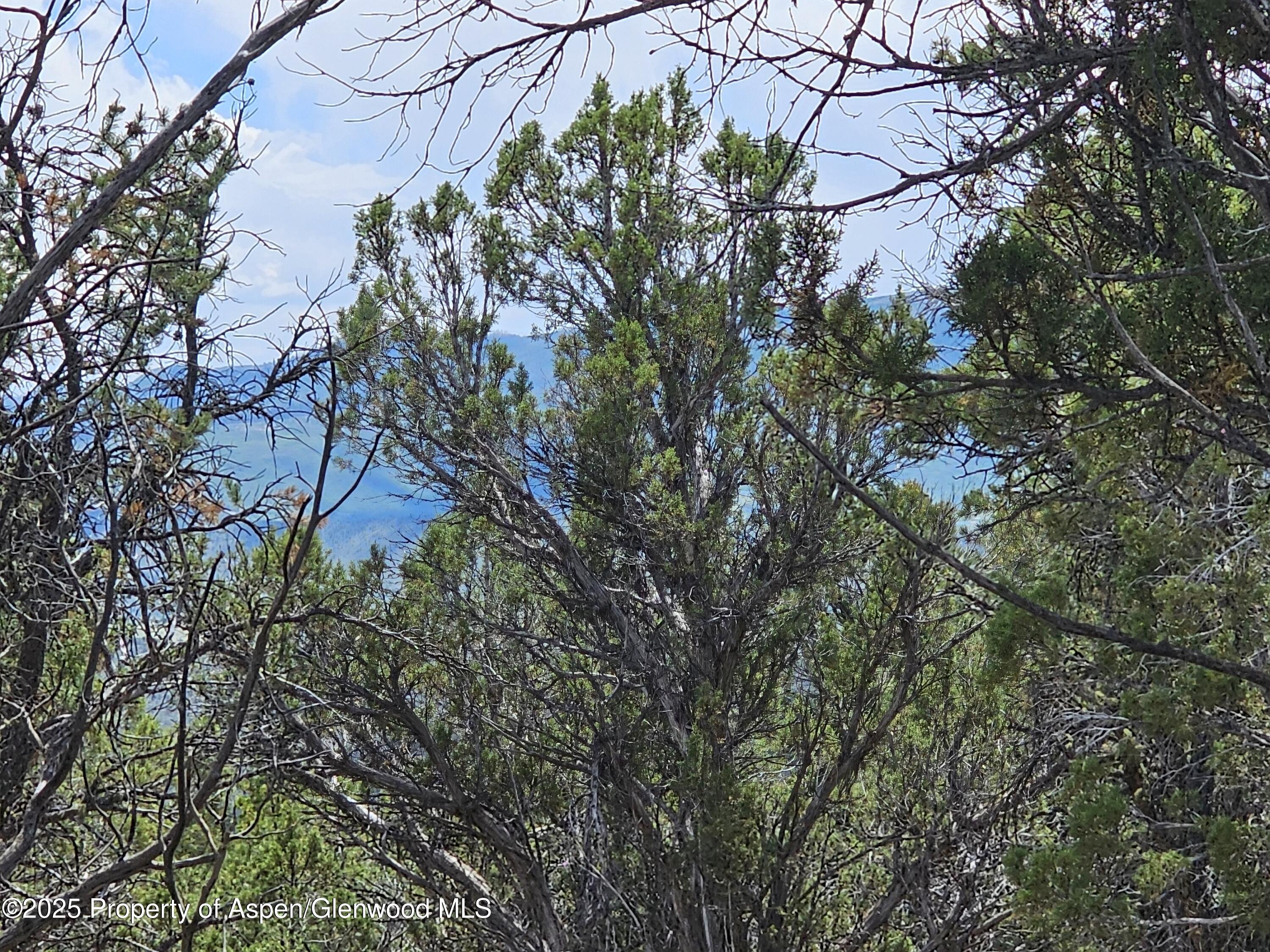 3221 Elk Springs Drive Glenwood Springs CO 81601