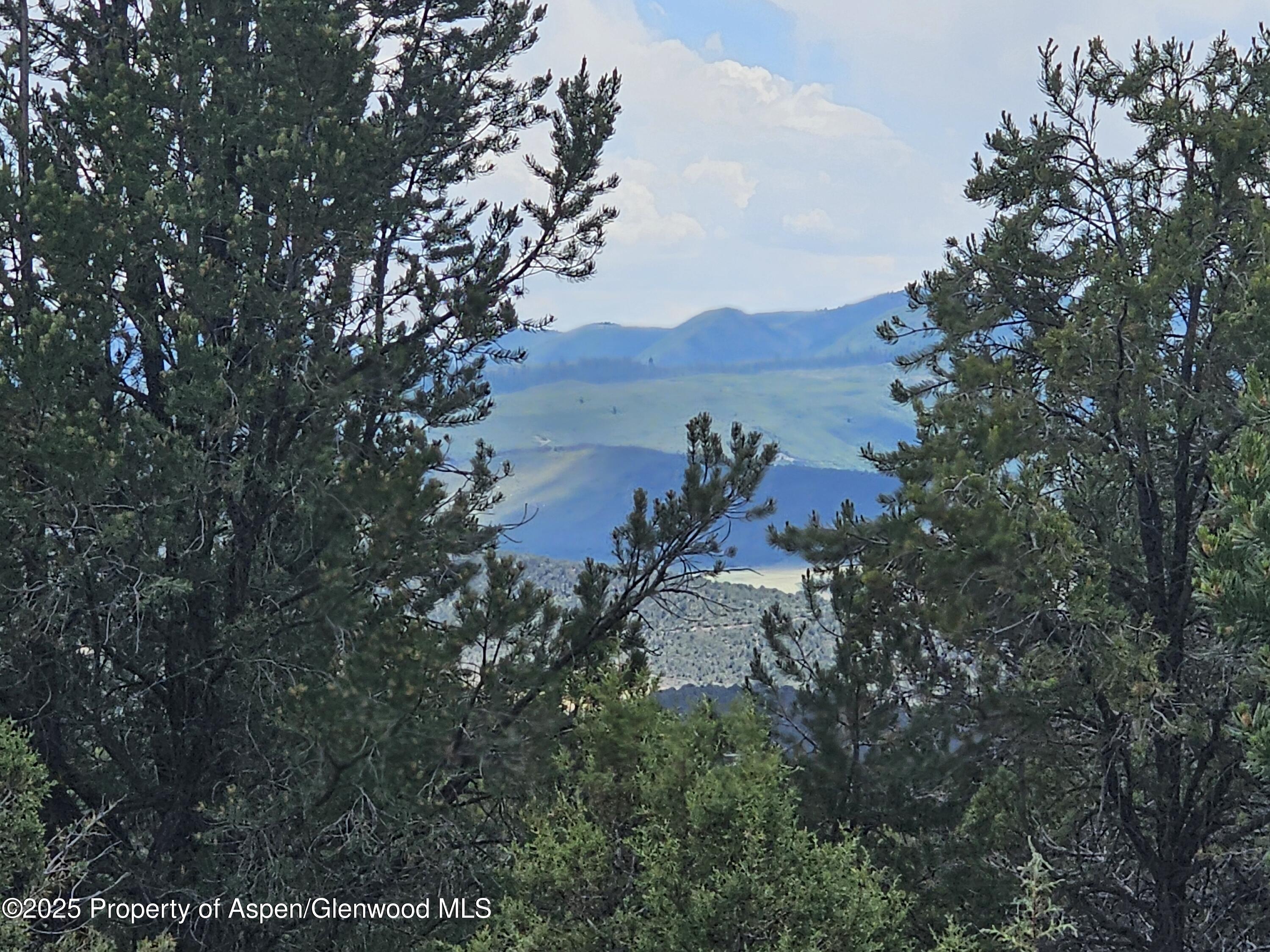 3221 Elk Springs Drive Glenwood Springs CO 81601