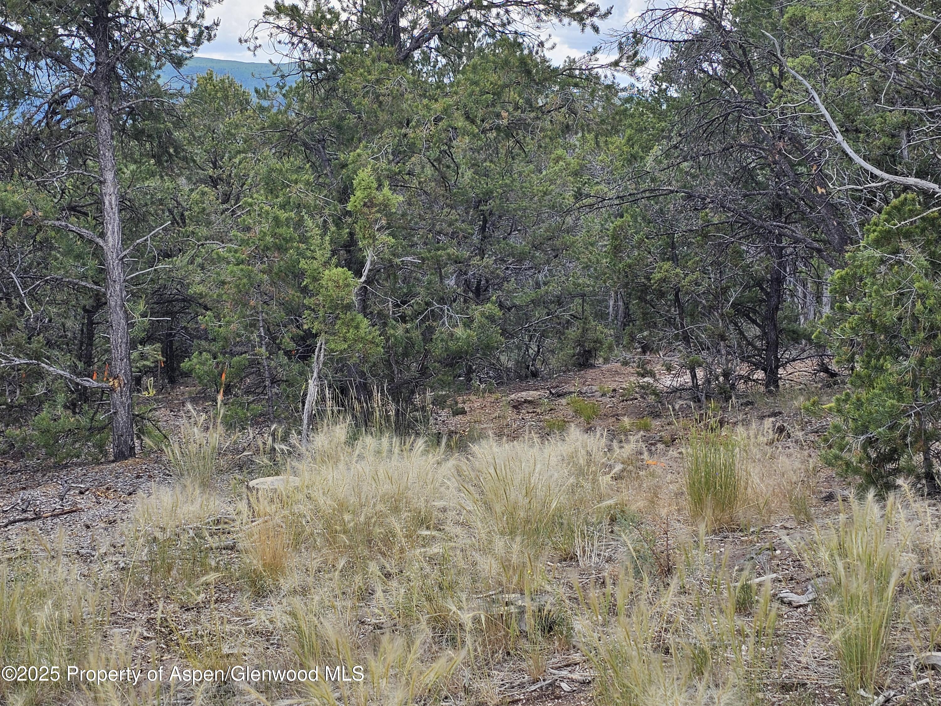 3221 Elk Springs Drive Glenwood Springs CO 81601