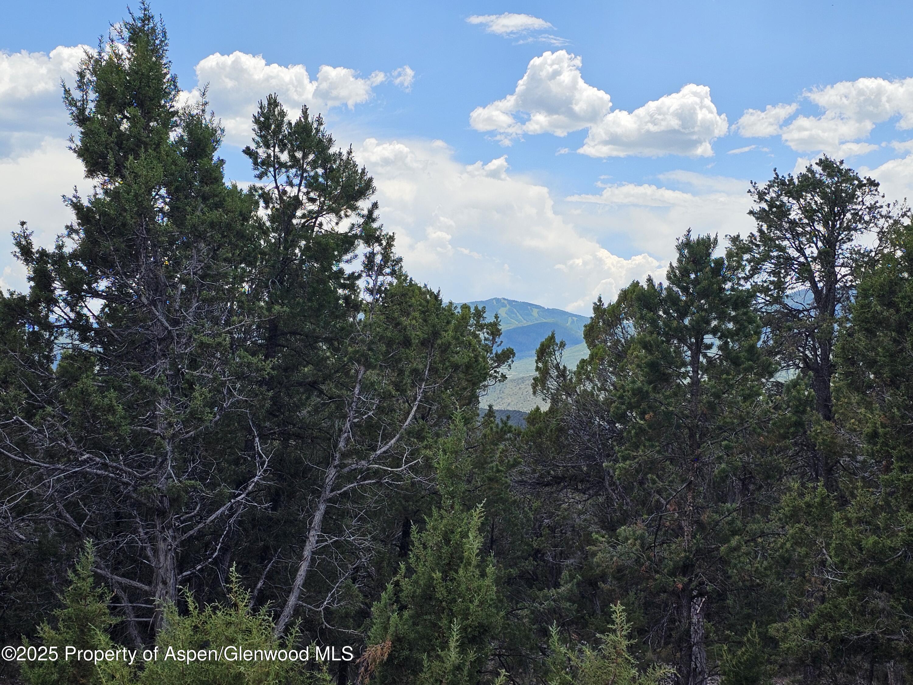 3221 Elk Springs Drive Glenwood Springs CO 81601