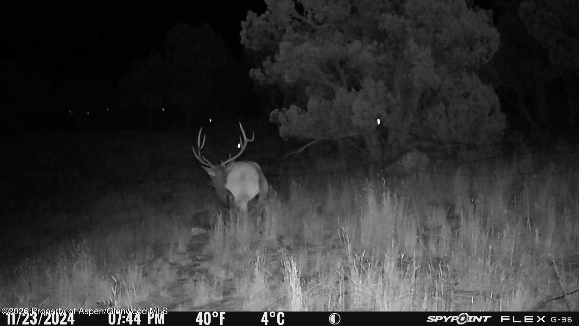 Tbd County Road 325 Rifle CO 81650