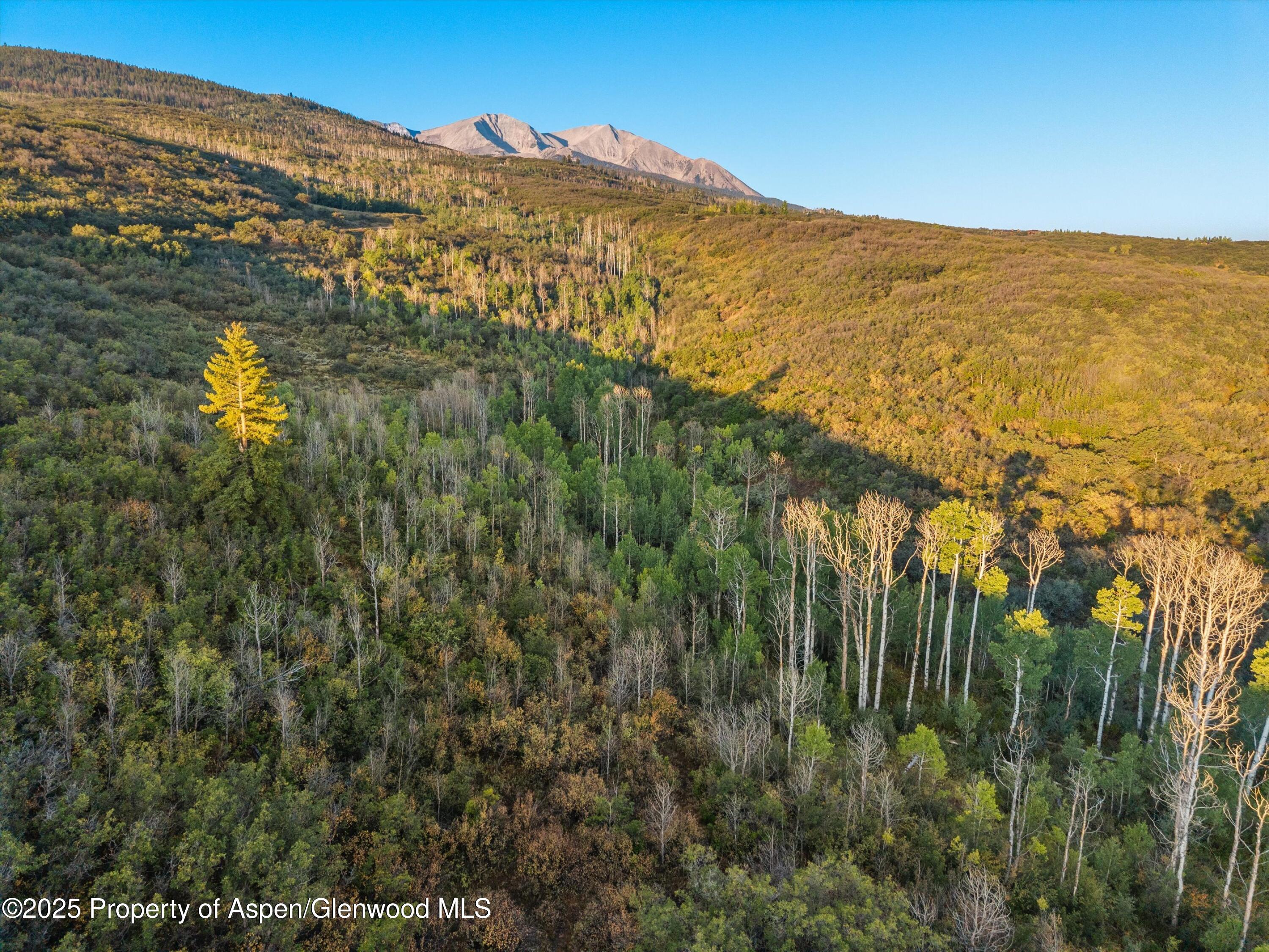 Tbd Old Herron Road Basalt CO 81621
