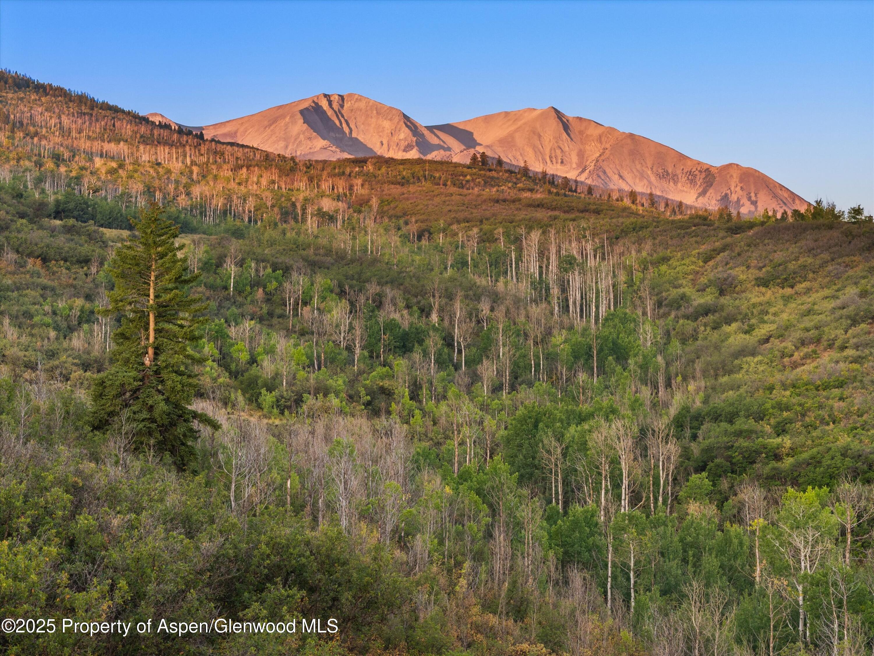 Tbd Old Herron Road Basalt CO 81621