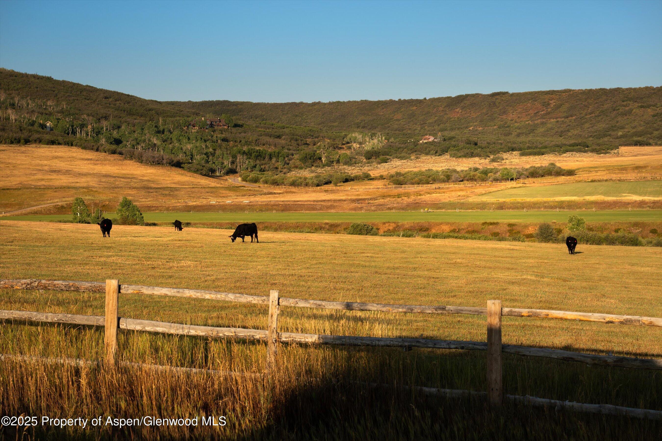 Tbd Old Herron Road Basalt CO 81621