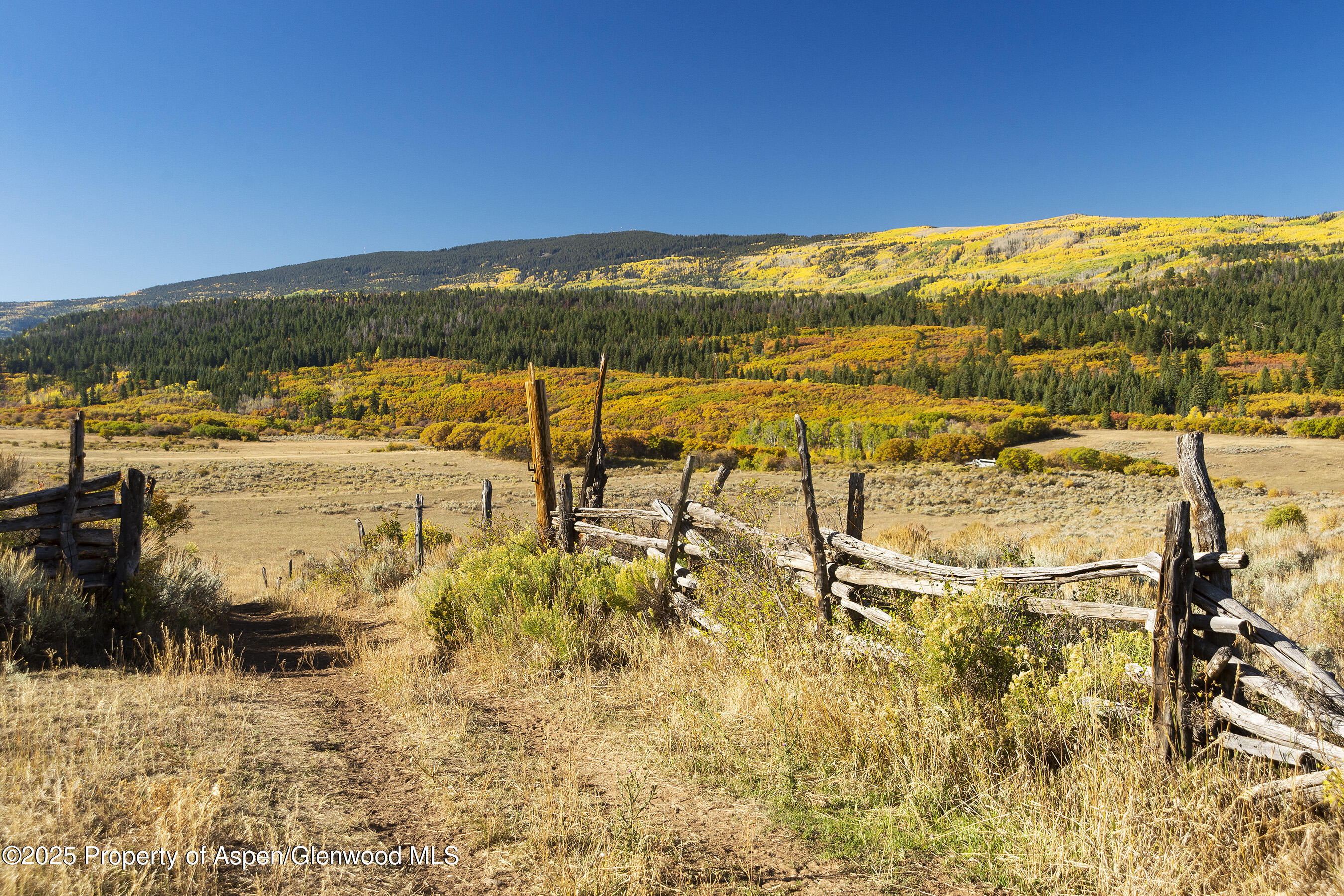 Tbd County Road 117 Glenwood Springs CO 81601