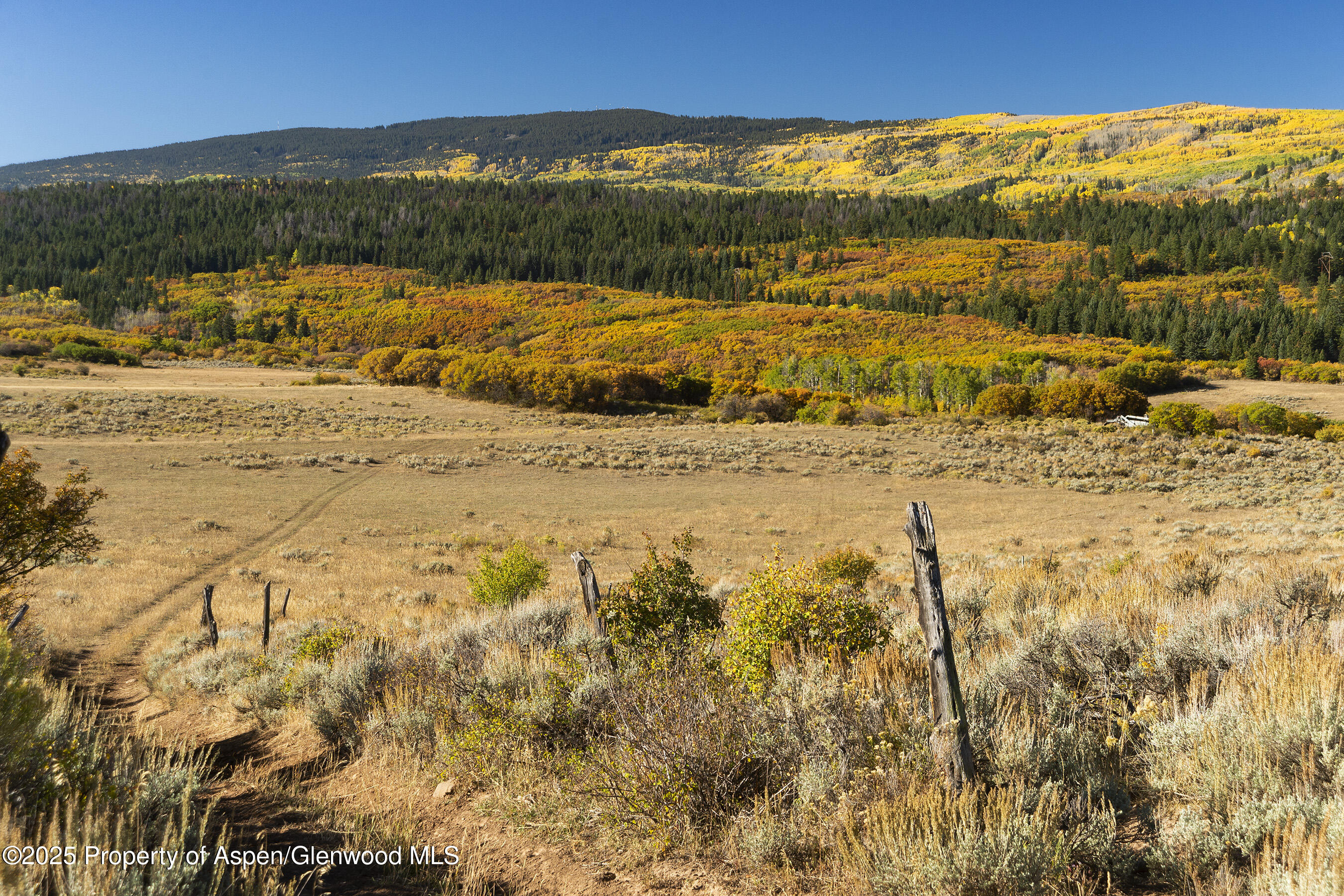 Tbd County Road 117 Glenwood Springs CO 81601