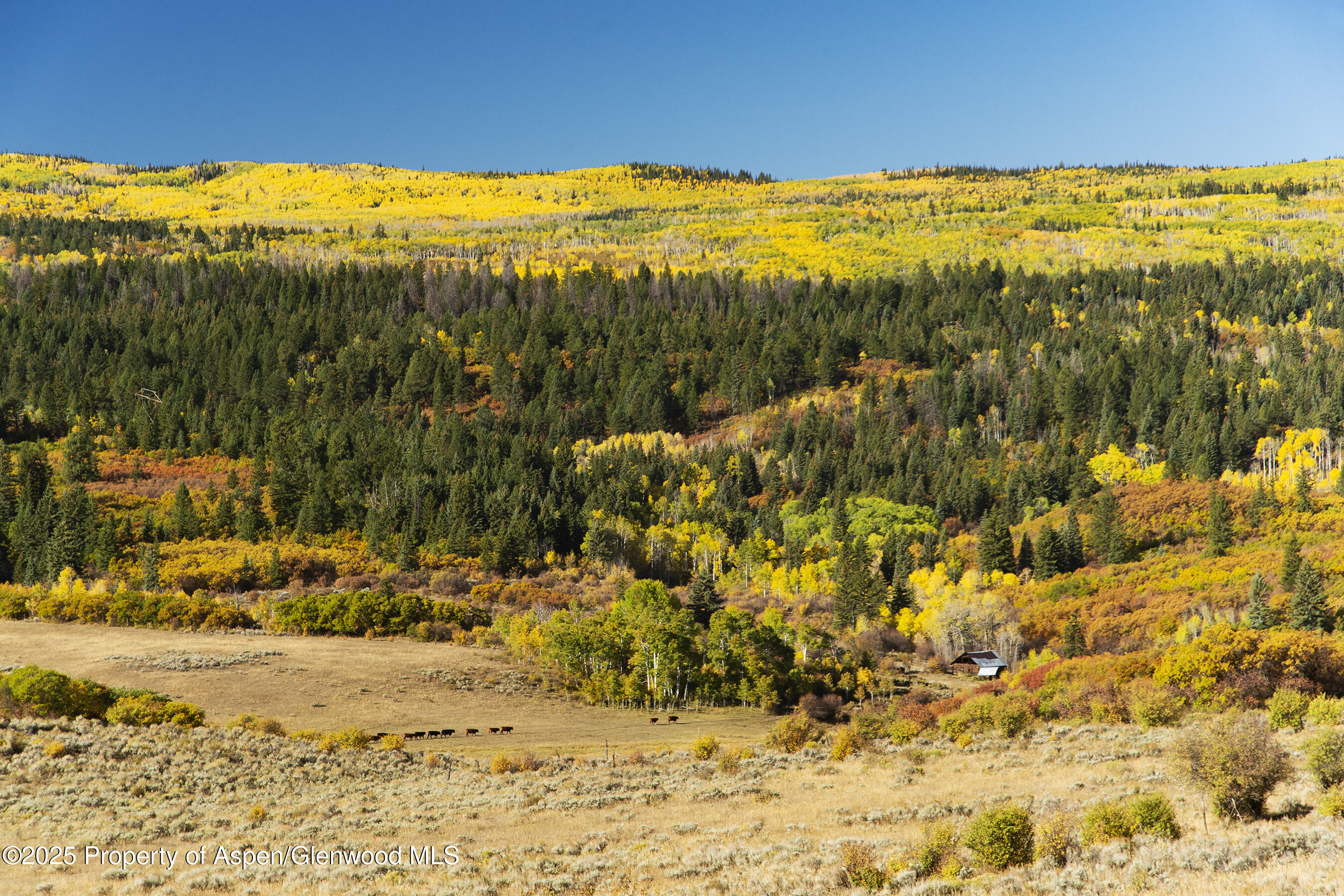 Tbd County Road 117 Glenwood Springs CO 81601
