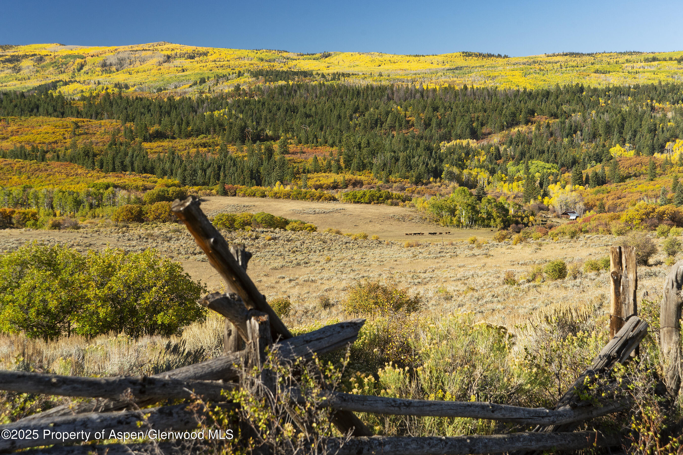Tbd County Road 117 Glenwood Springs CO 81601
