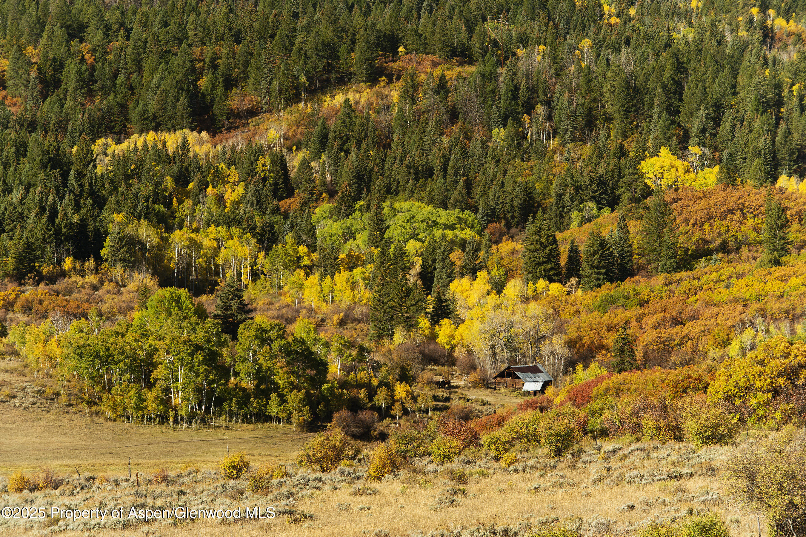 Tbd County Road 117 Glenwood Springs CO 81601