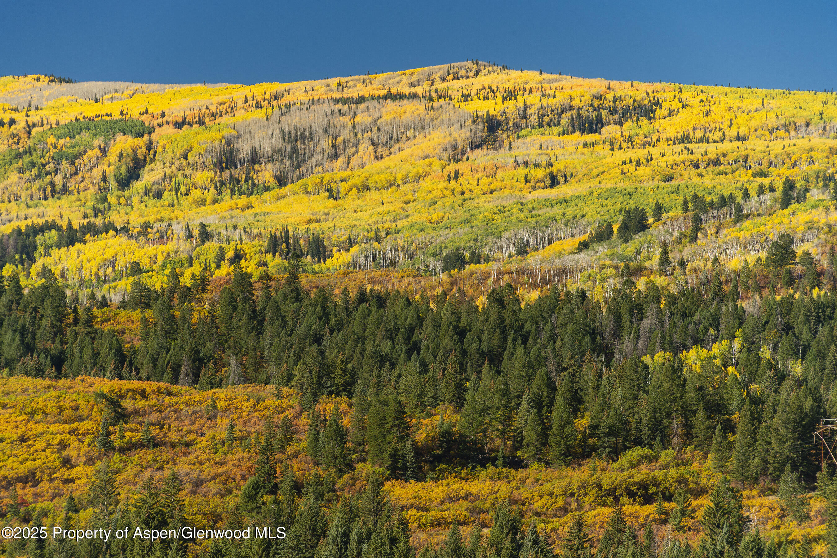 Tbd County Road 117 Glenwood Springs CO 81601
