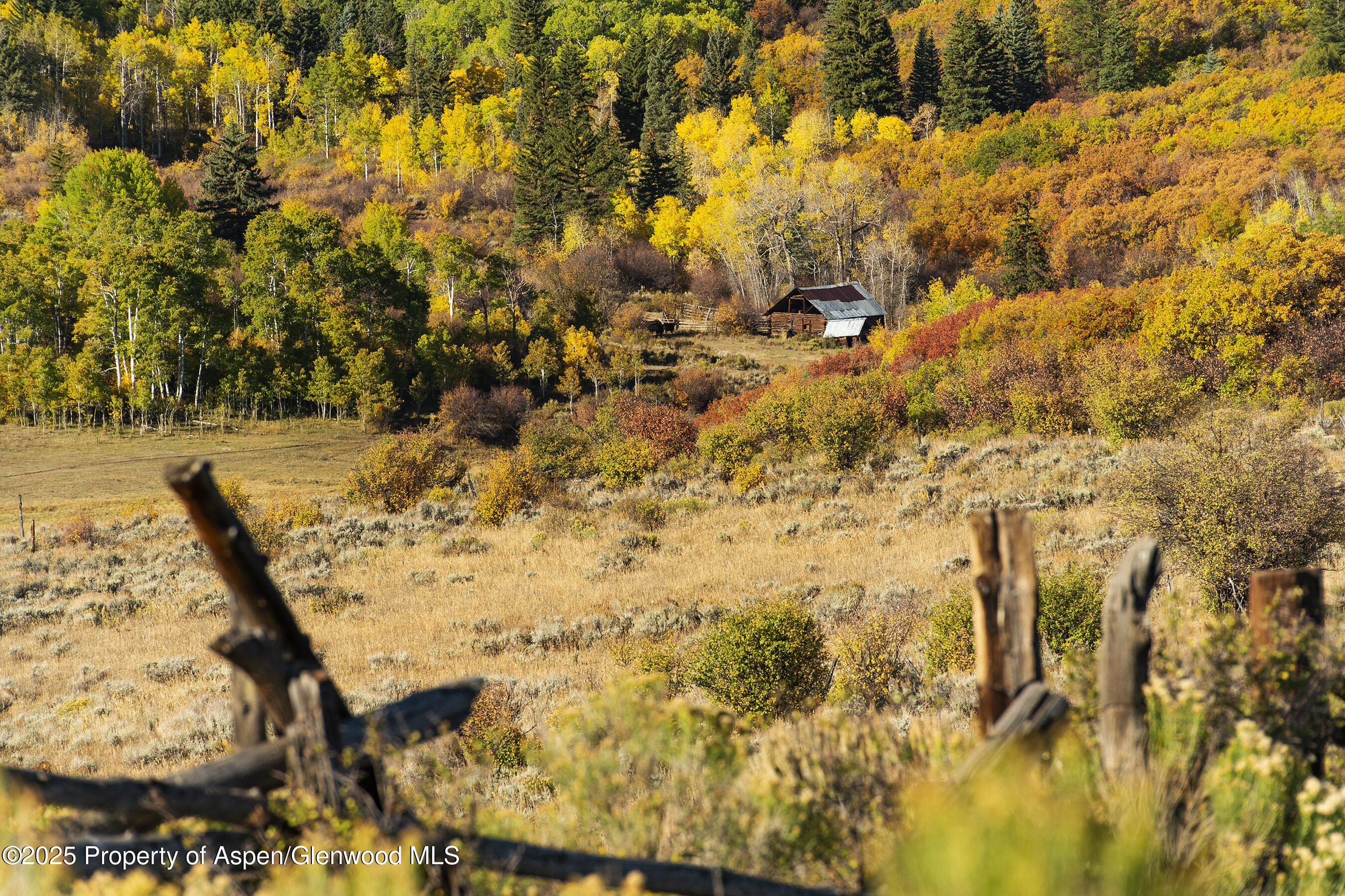 Tbd County Road 117 Glenwood Springs CO 81601