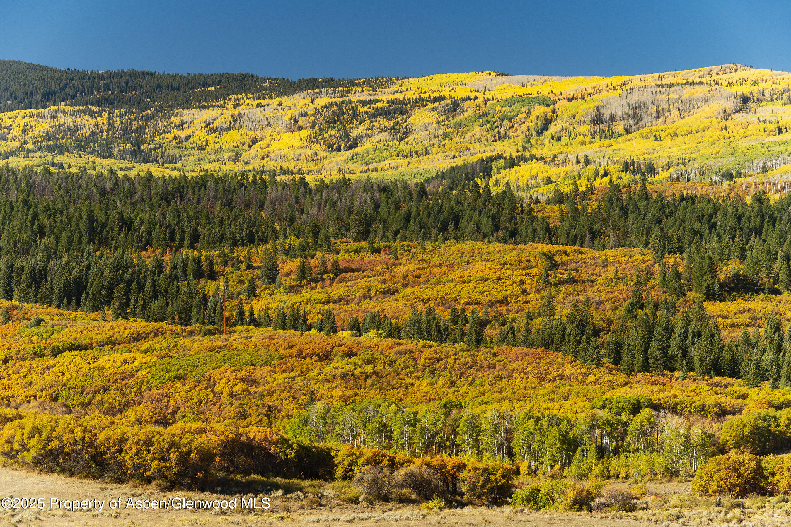 Tbd County Road 117 Glenwood Springs CO 81601