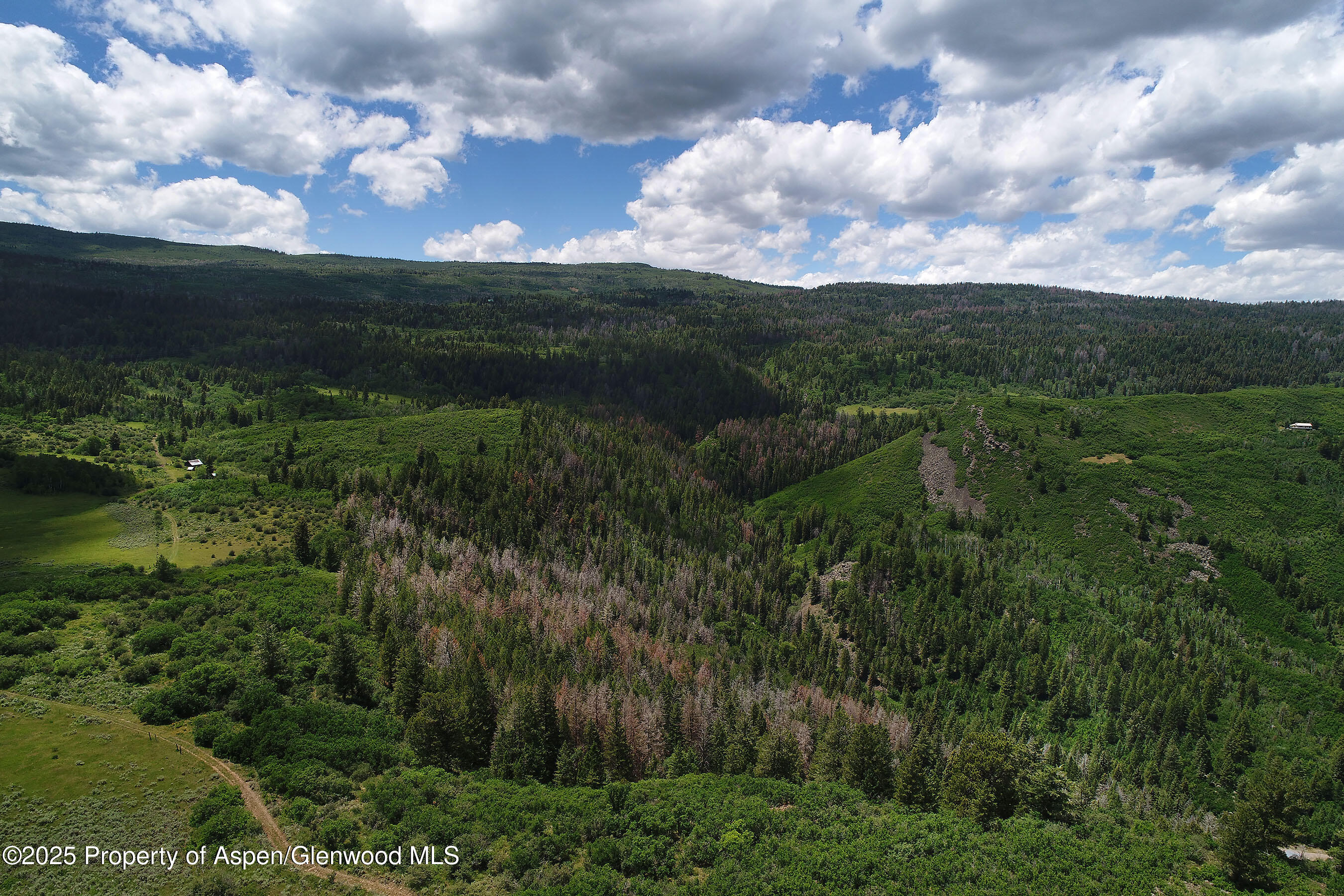 Tbd County Road 117 Glenwood Springs CO 81601