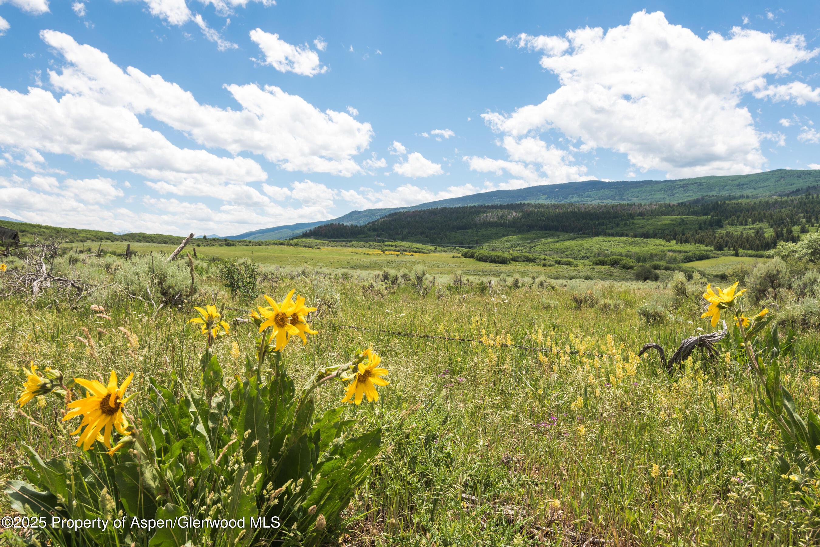 Tbd County Road 117 Glenwood Springs CO 81601