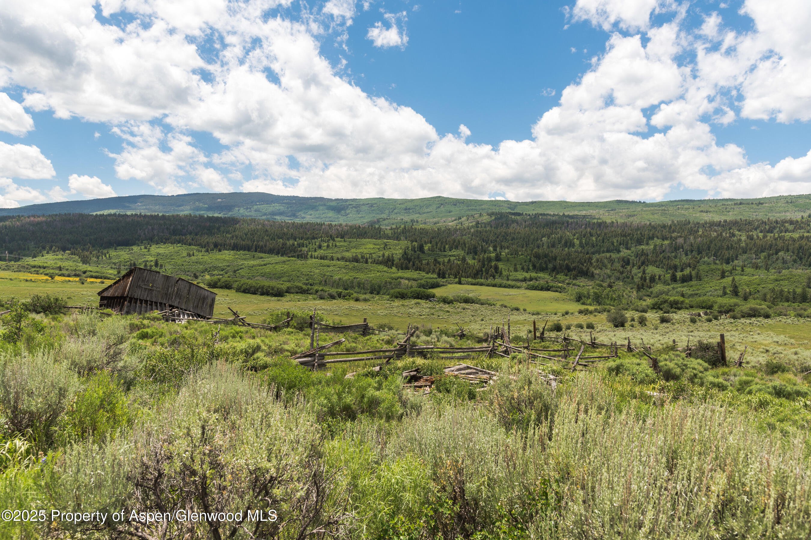Tbd County Road 117 Glenwood Springs CO 81601