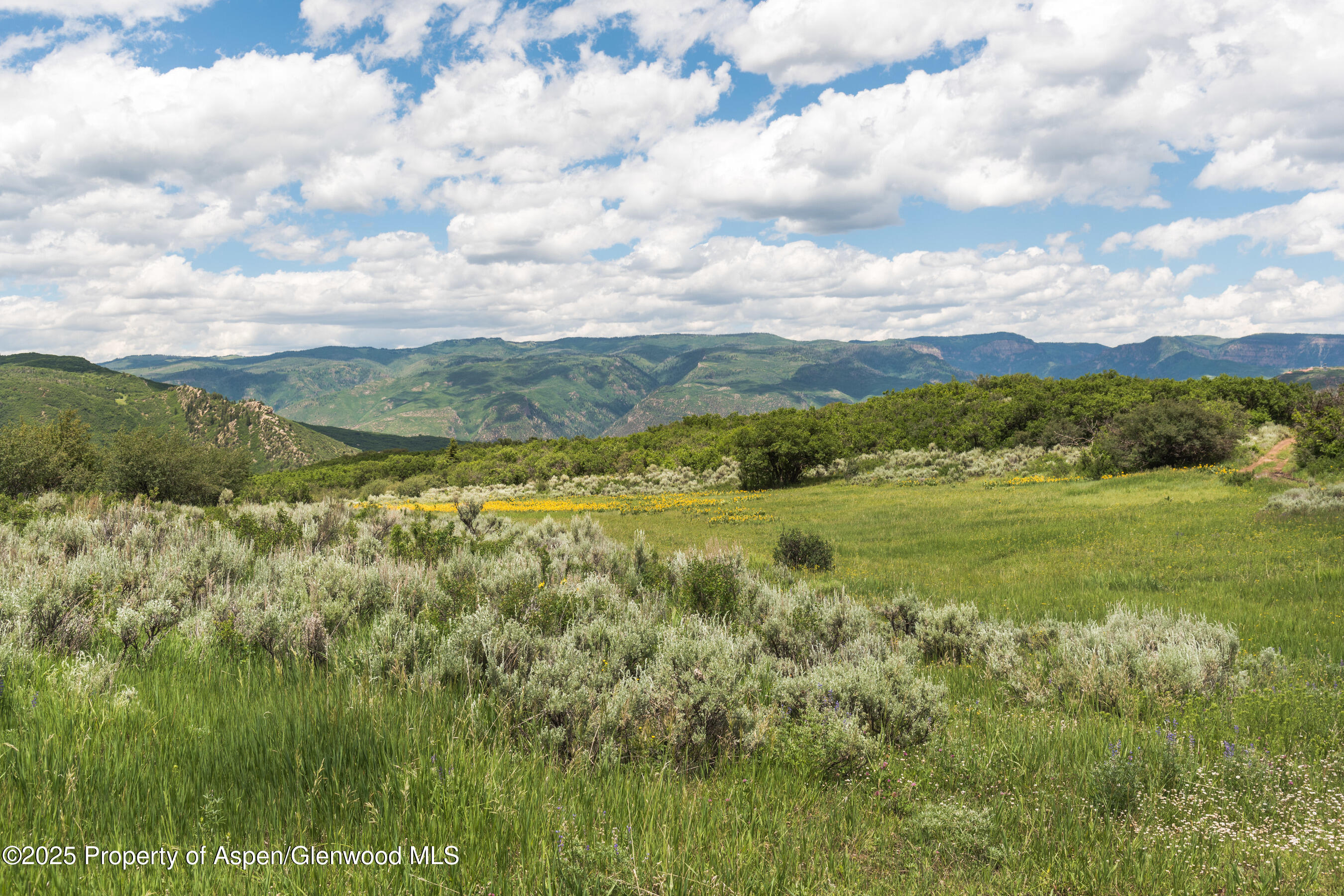 Tbd County Road 117 Glenwood Springs CO 81601