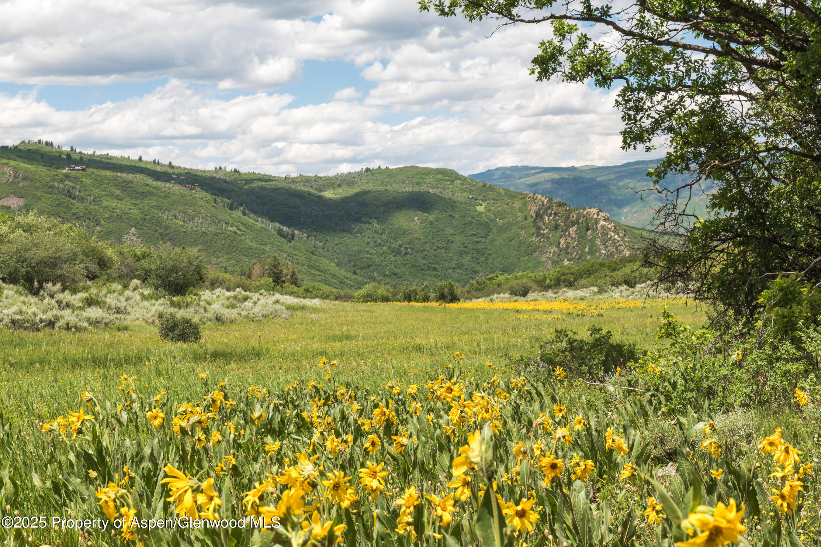 Tbd County Road 117 Glenwood Springs CO 81601