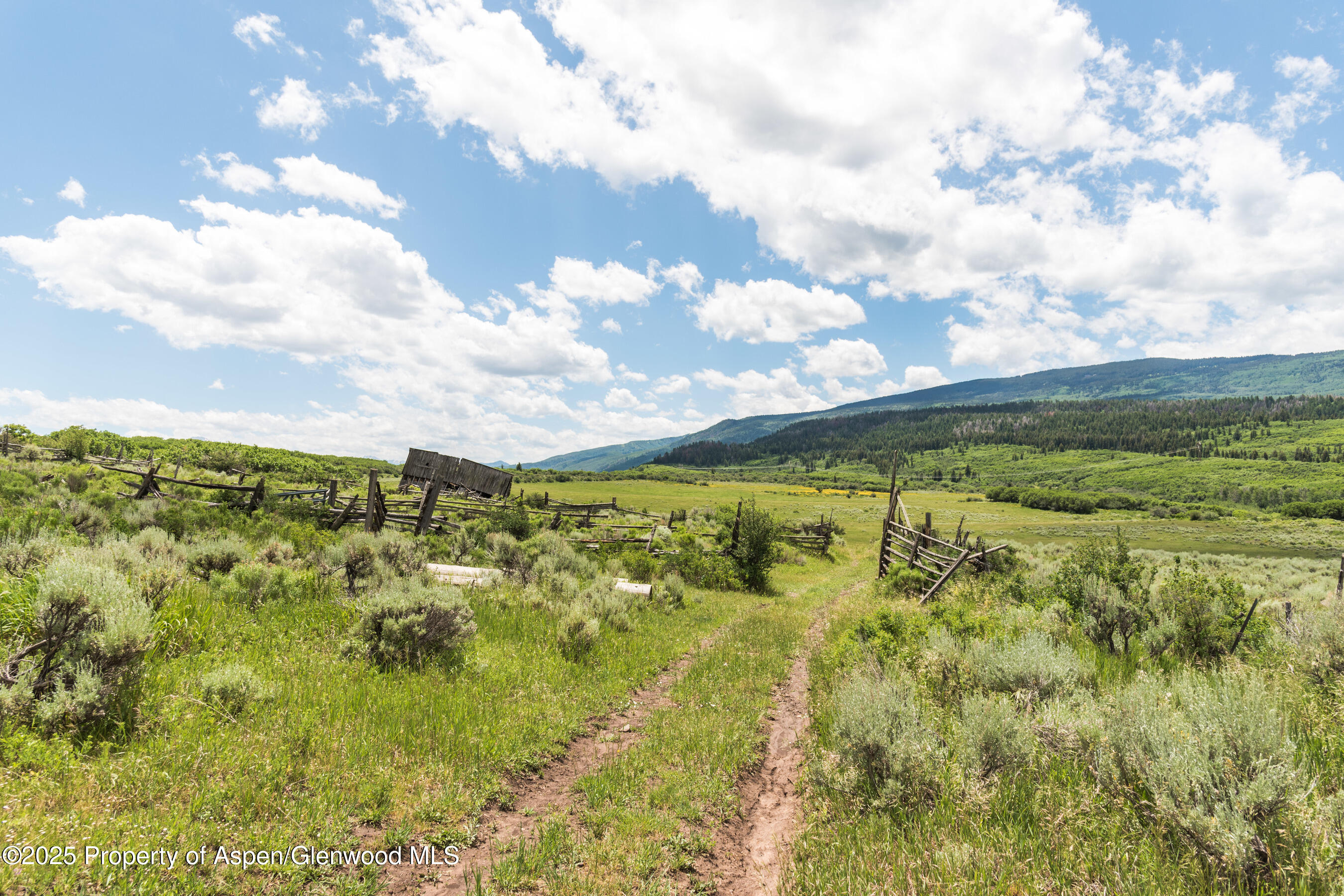 Tbd County Road 117 Glenwood Springs CO 81601
