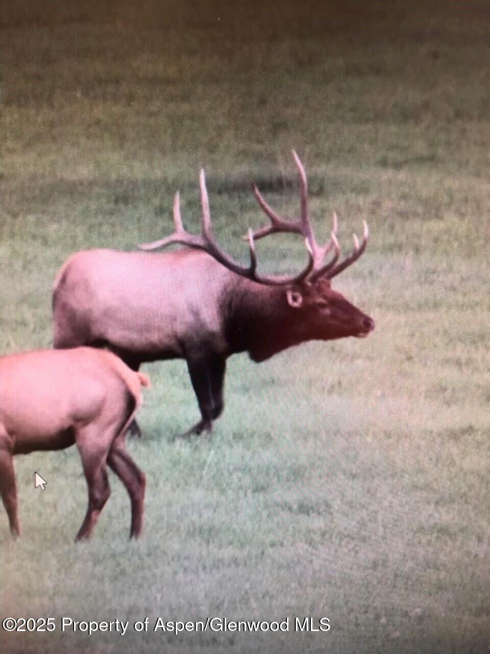 Tbd County Road 117 Glenwood Springs CO 81601