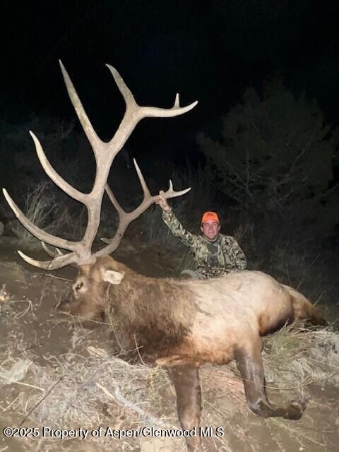 Tbd County Road 117 Glenwood Springs CO 81601