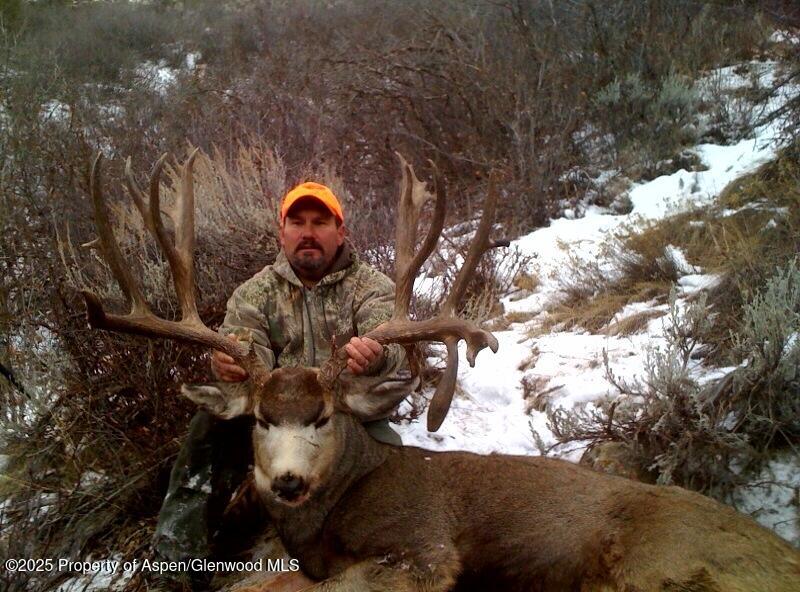 Tbd County Road 117 Glenwood Springs CO 81601