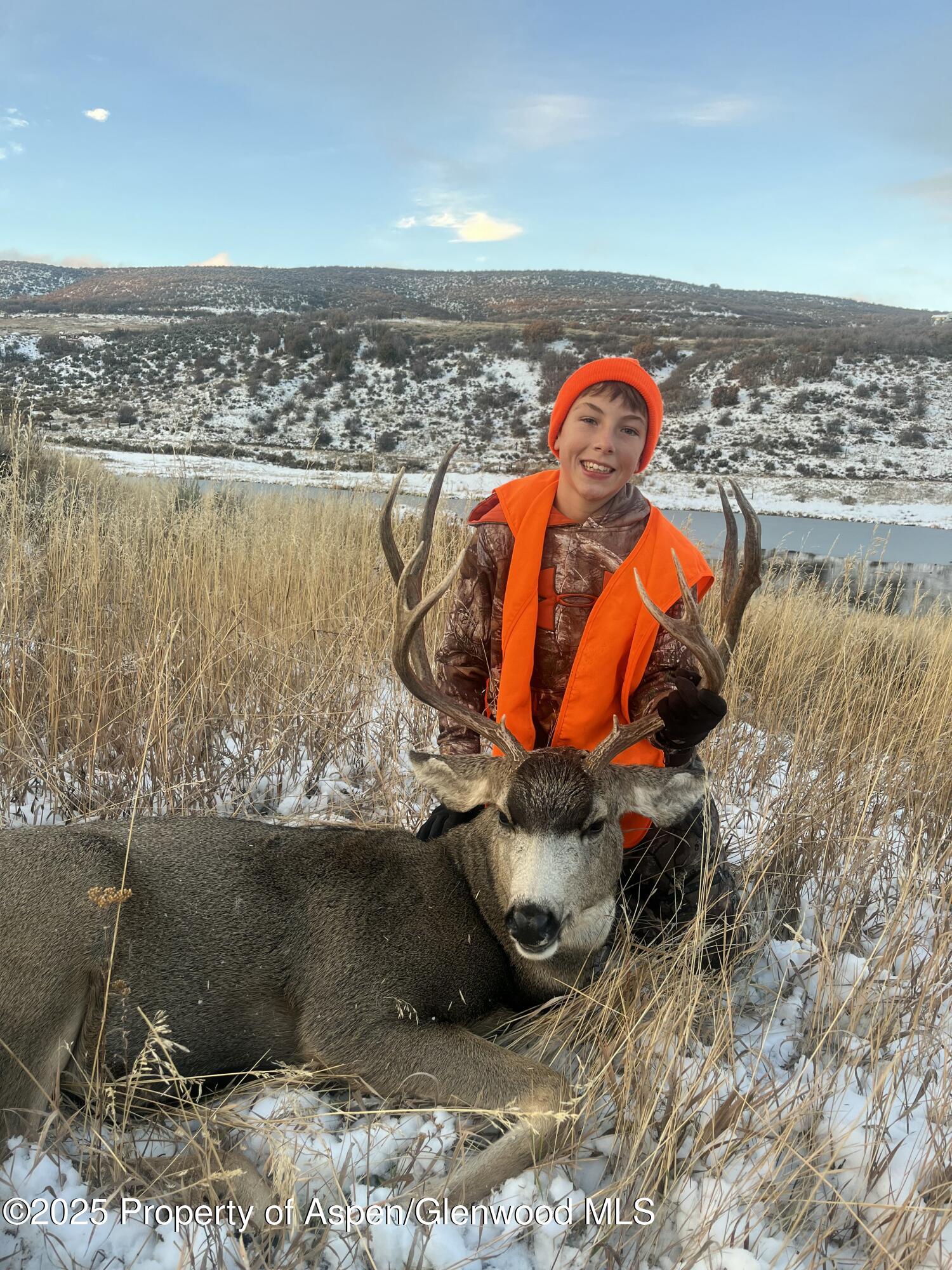 Tbd County Road 117 Glenwood Springs CO 81601