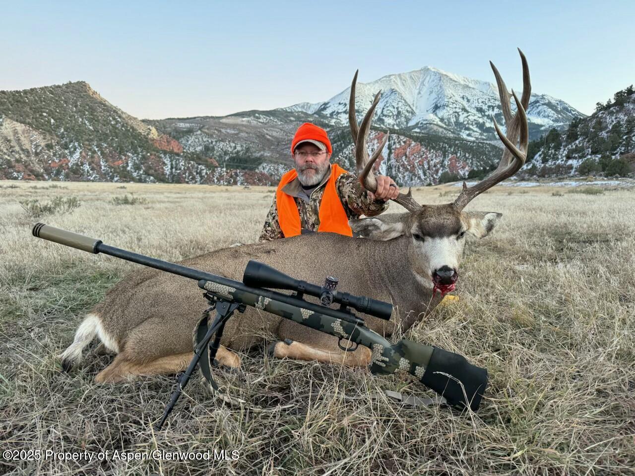 Tbd County Road 117 Glenwood Springs CO 81601