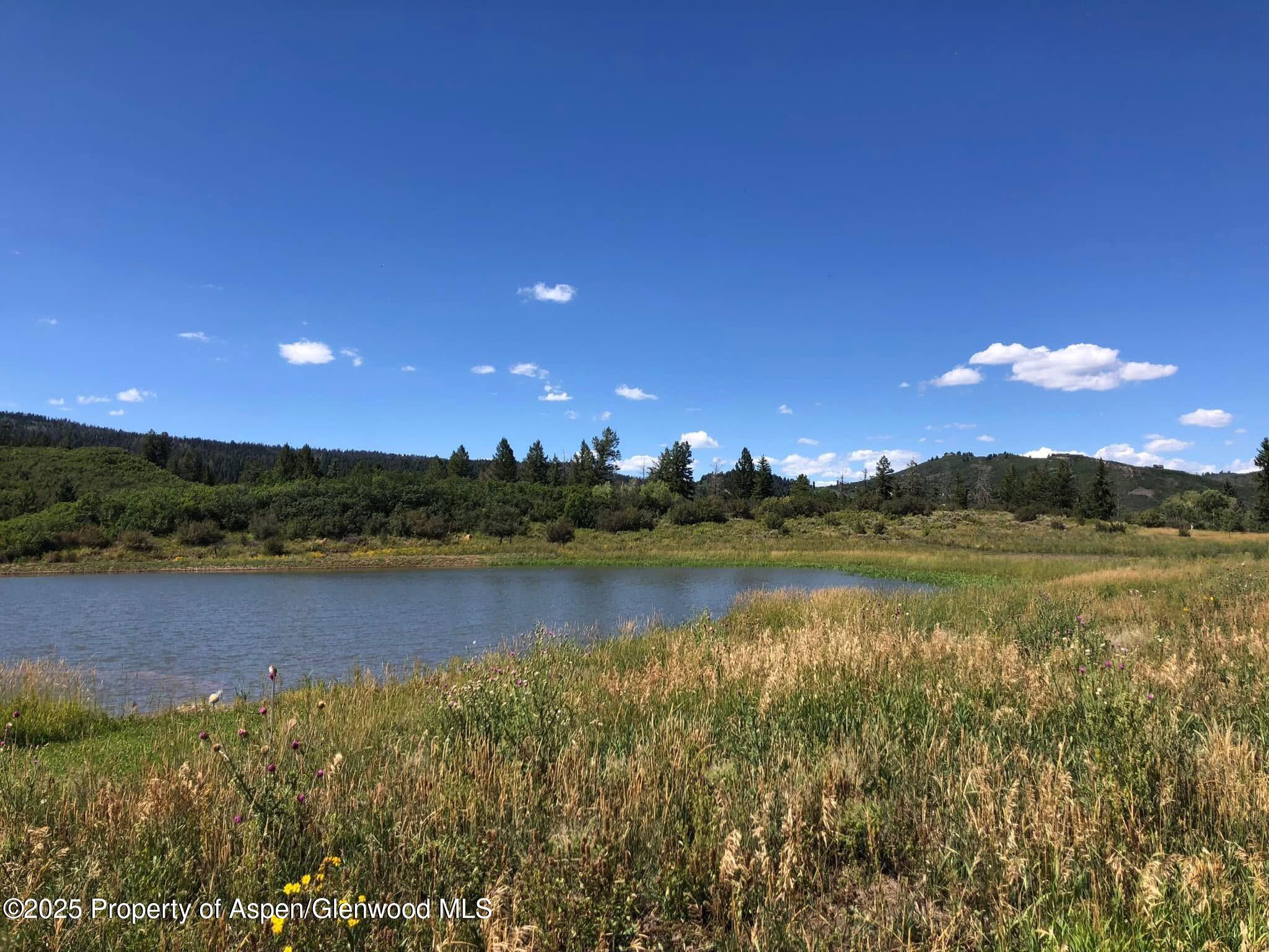 Tbd County Road 117 Glenwood Springs CO 81601