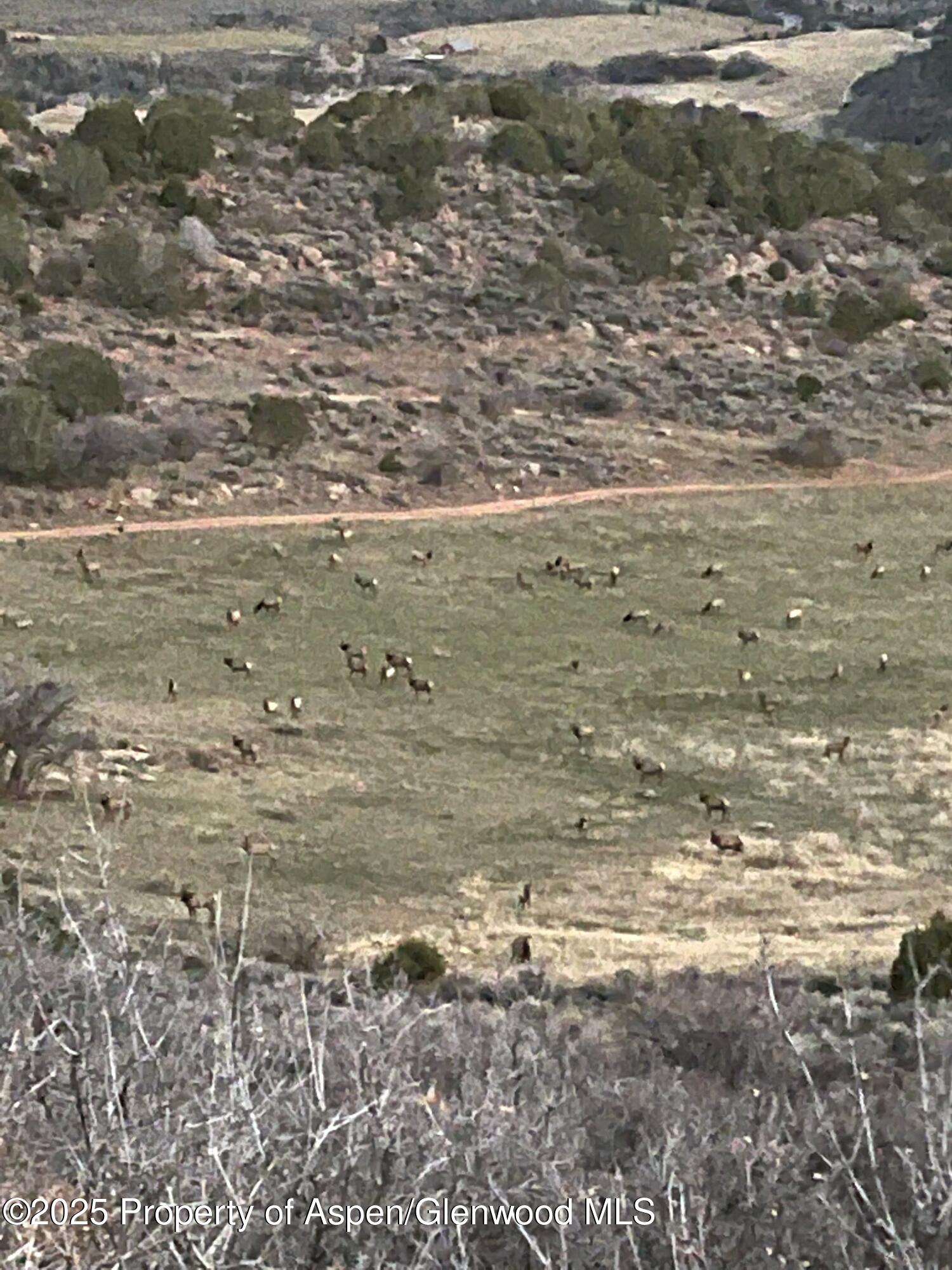 Tbd County Road 117 Glenwood Springs CO 81601