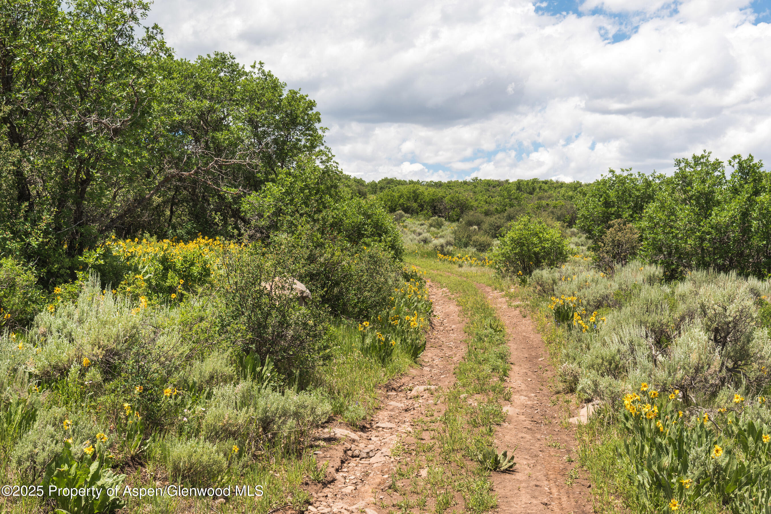 Tbd County Road 117 Glenwood Springs CO 81601