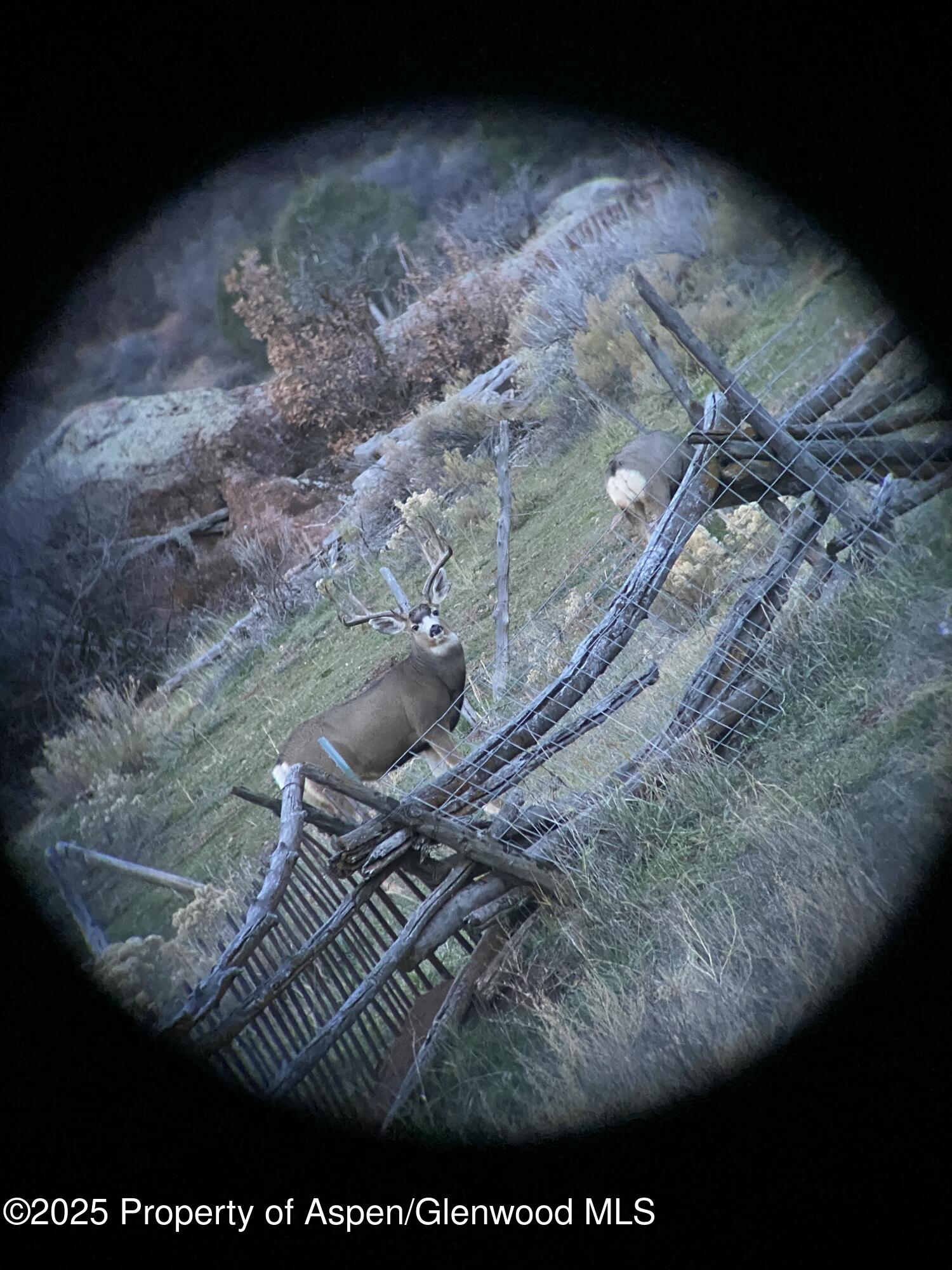 Tbd County Road 117 Glenwood Springs CO 81601