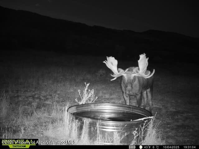 Tbd County Road 117 Glenwood Springs CO 81601