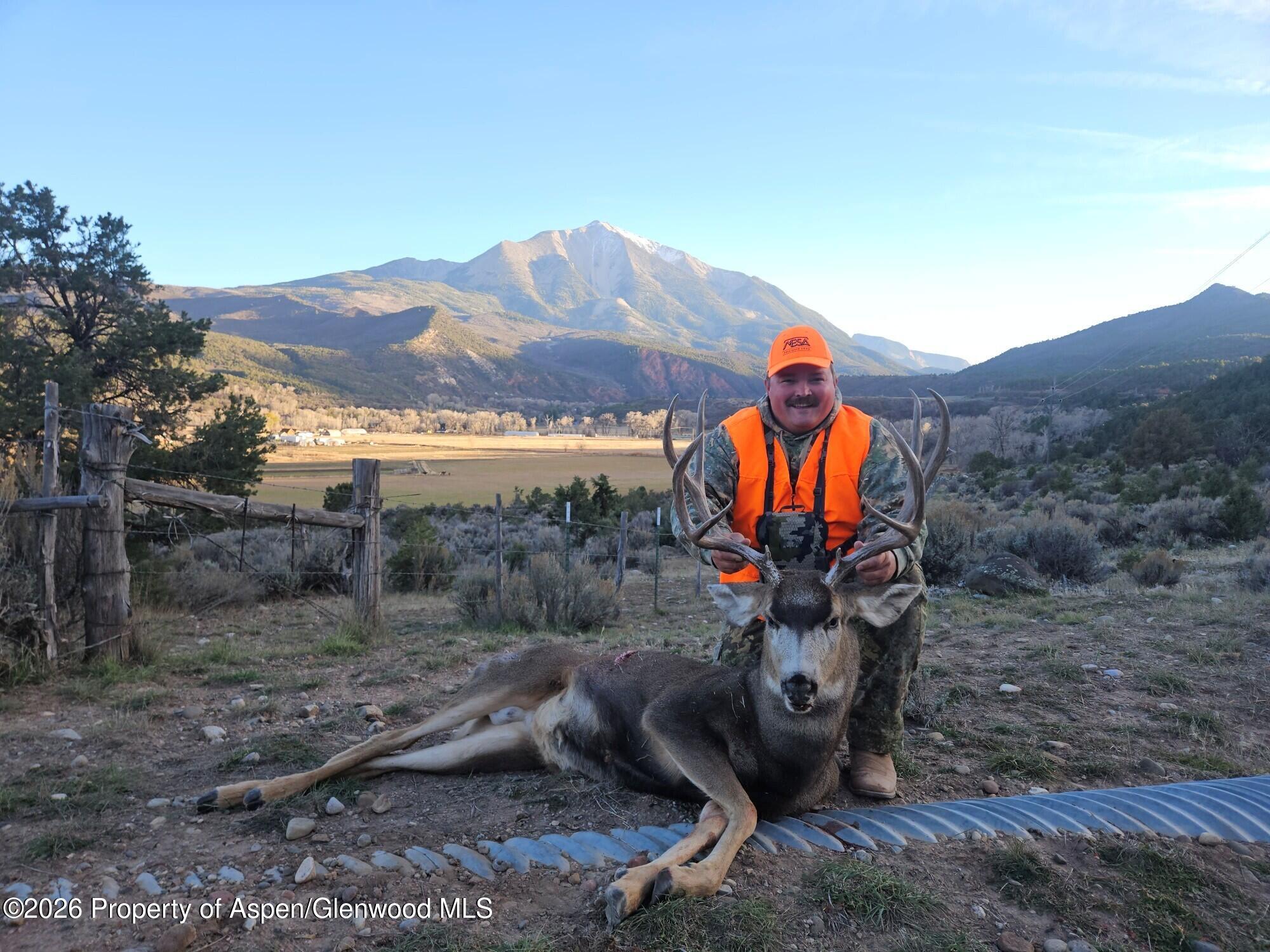 Tbd County Road 117 Glenwood Springs CO 81601