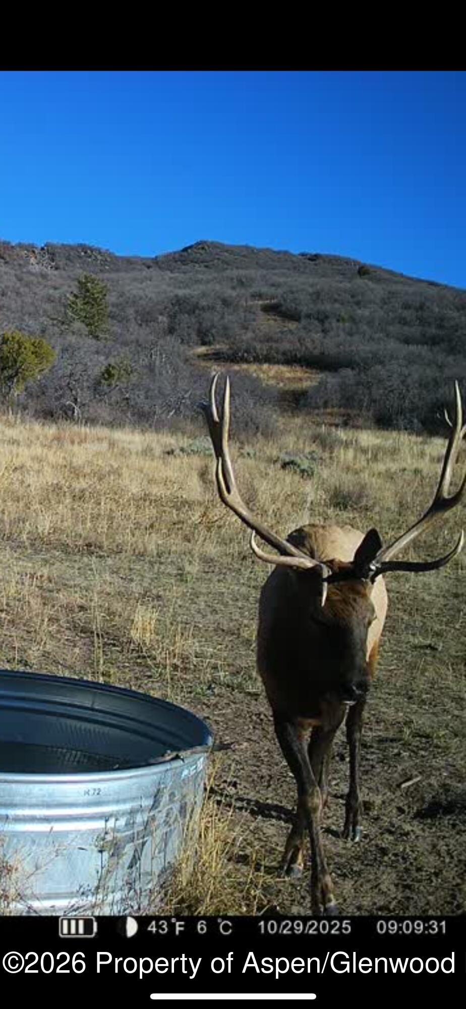 Tbd County Road 117 Glenwood Springs CO 81601