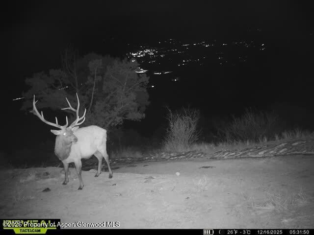 Tbd County Road 117 Glenwood Springs CO 81601